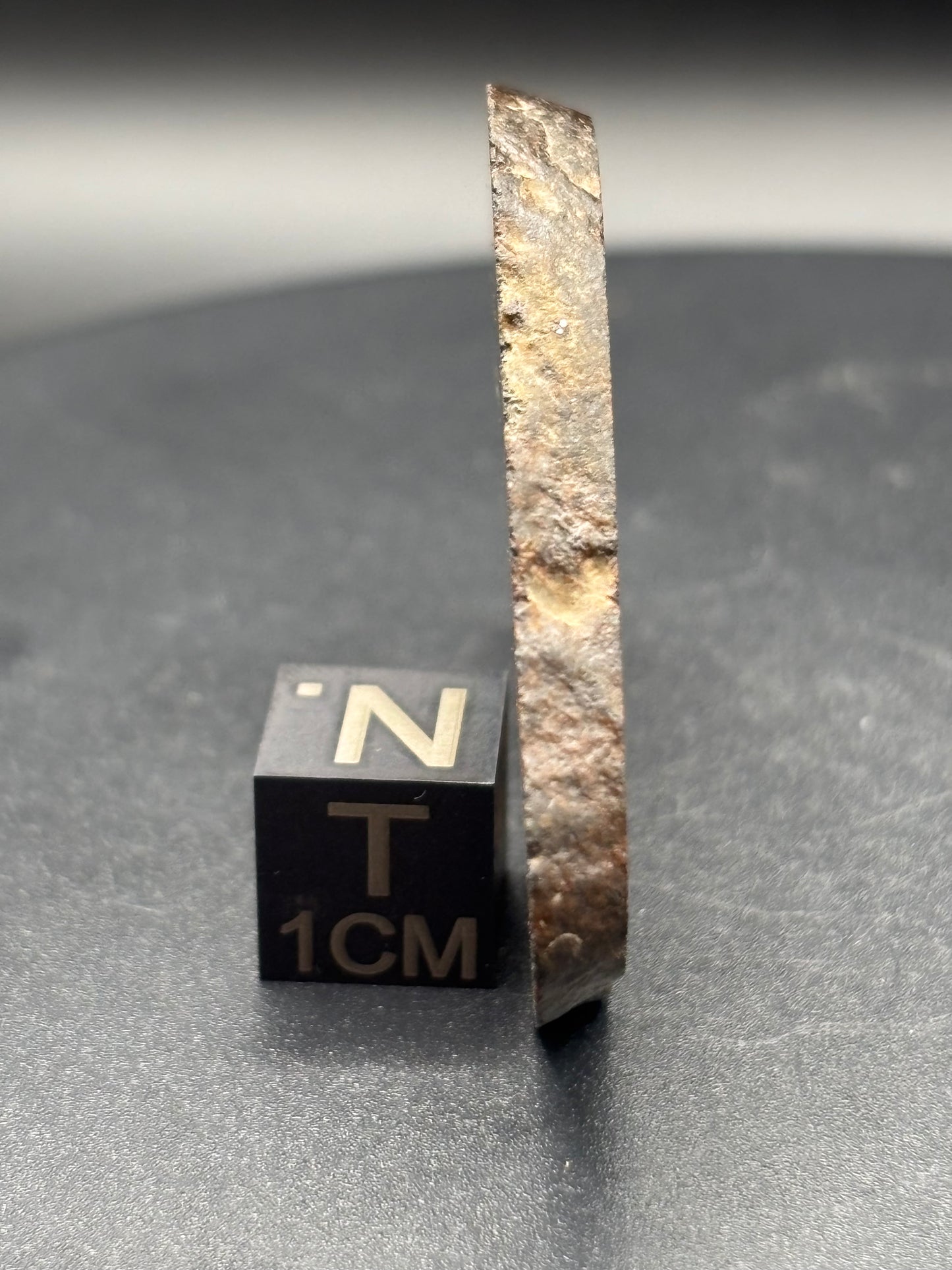Northwest Africa Meteorite Slice – Possible L5 Chondrite – Polished – 16.4g – Algeria Find