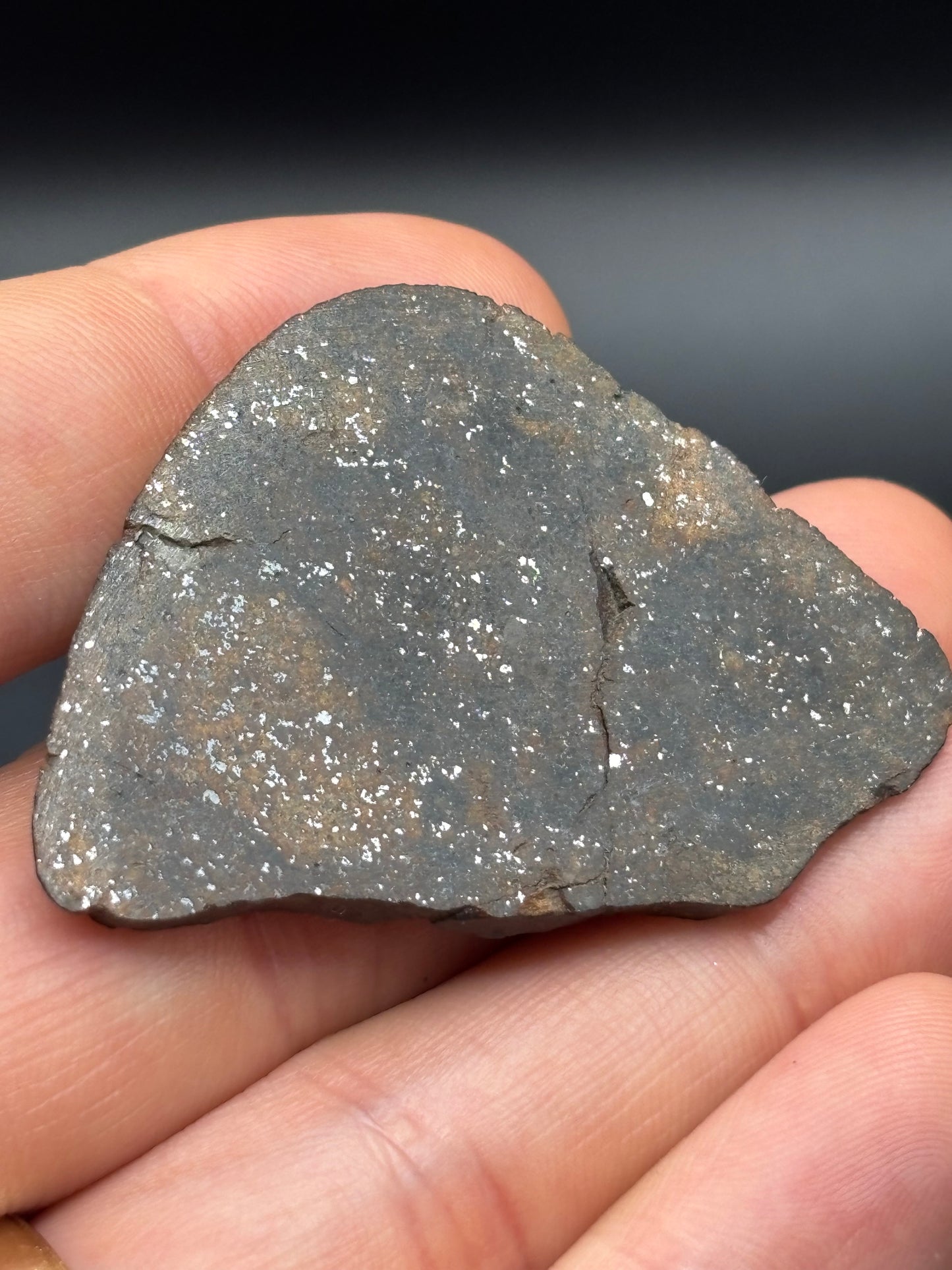 Northwest Africa Meteorite Slice – Possible L5 Chondrite – Polished – 16.4g – Algeria Find