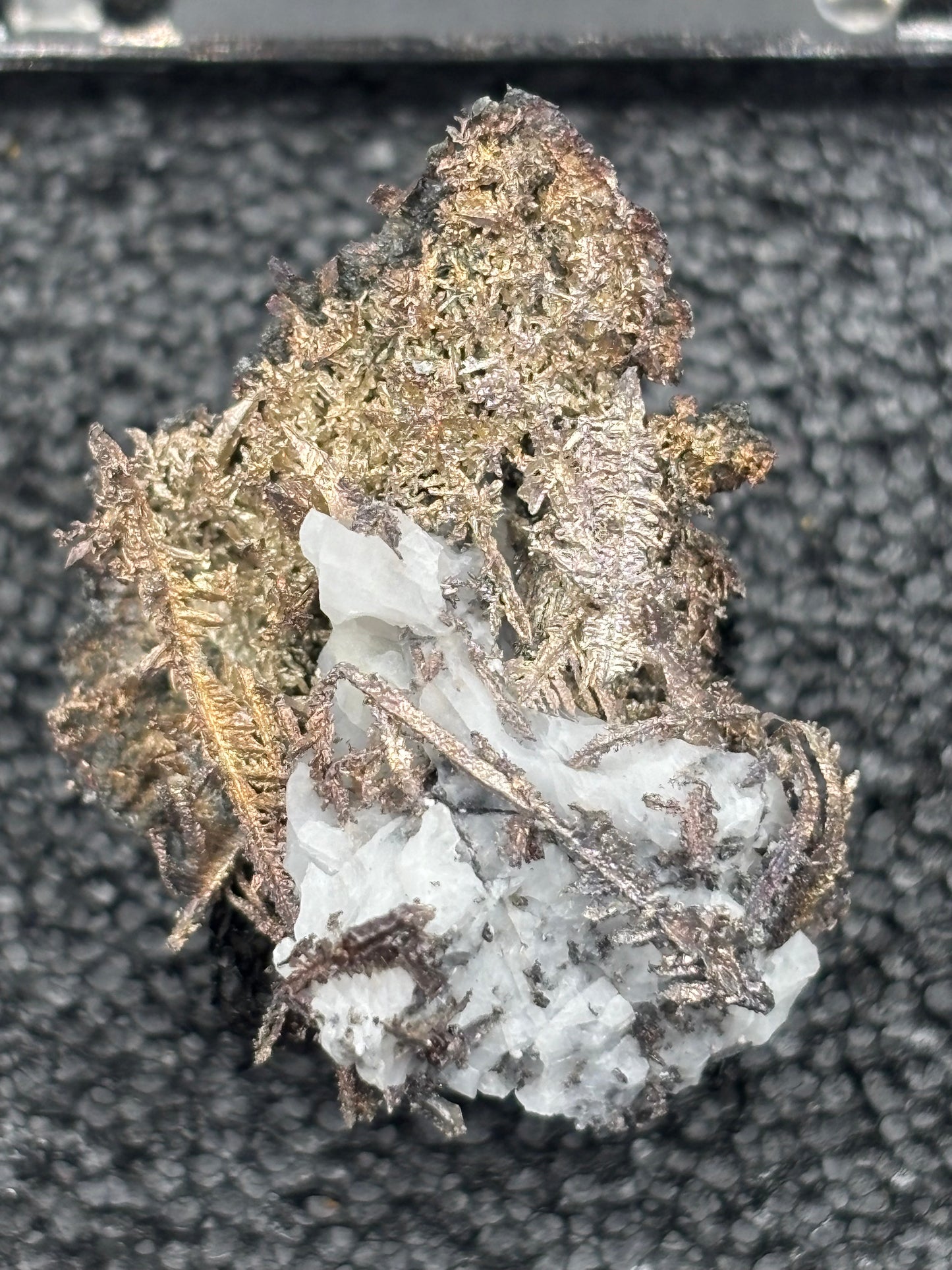 Dendritic Wire Silver – Batopilas, Chihuahua, Mexico – Native Silver Specimen