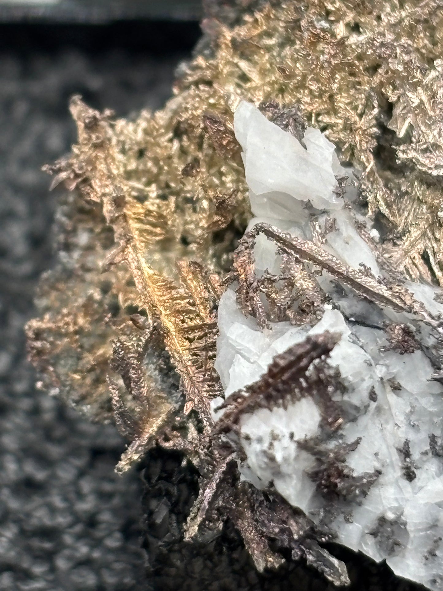 Dendritic Wire Silver – Batopilas, Chihuahua, Mexico – Native Silver Specimen