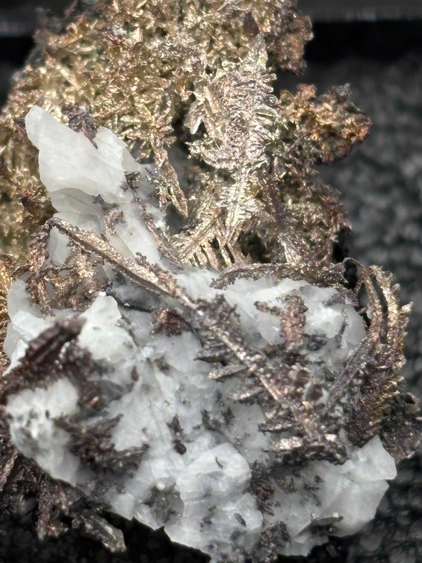 Dendritic Wire Silver – Batopilas, Chihuahua, Mexico – Native Silver Specimen