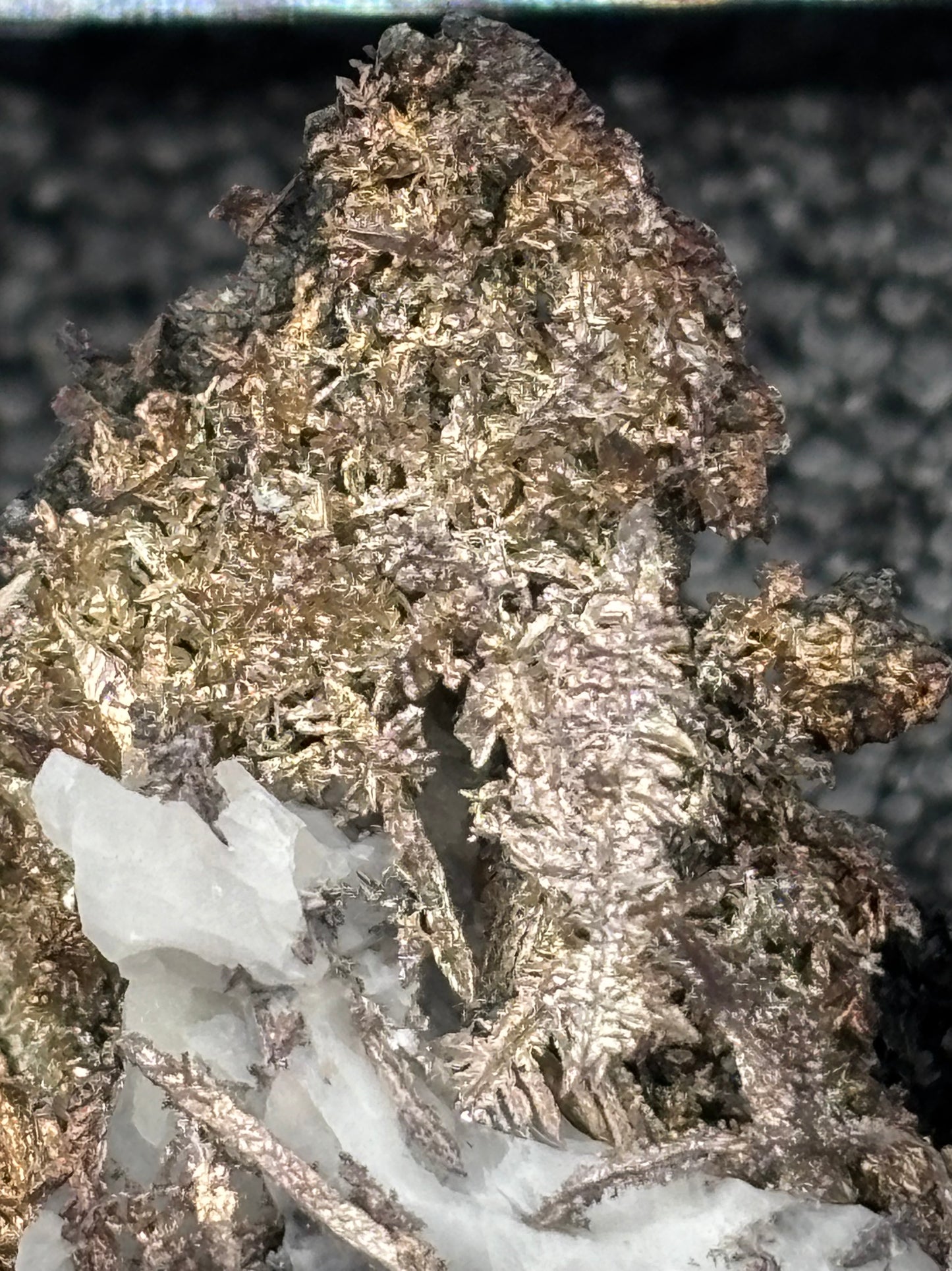 Dendritic Wire Silver – Batopilas, Chihuahua, Mexico – Native Silver Specimen