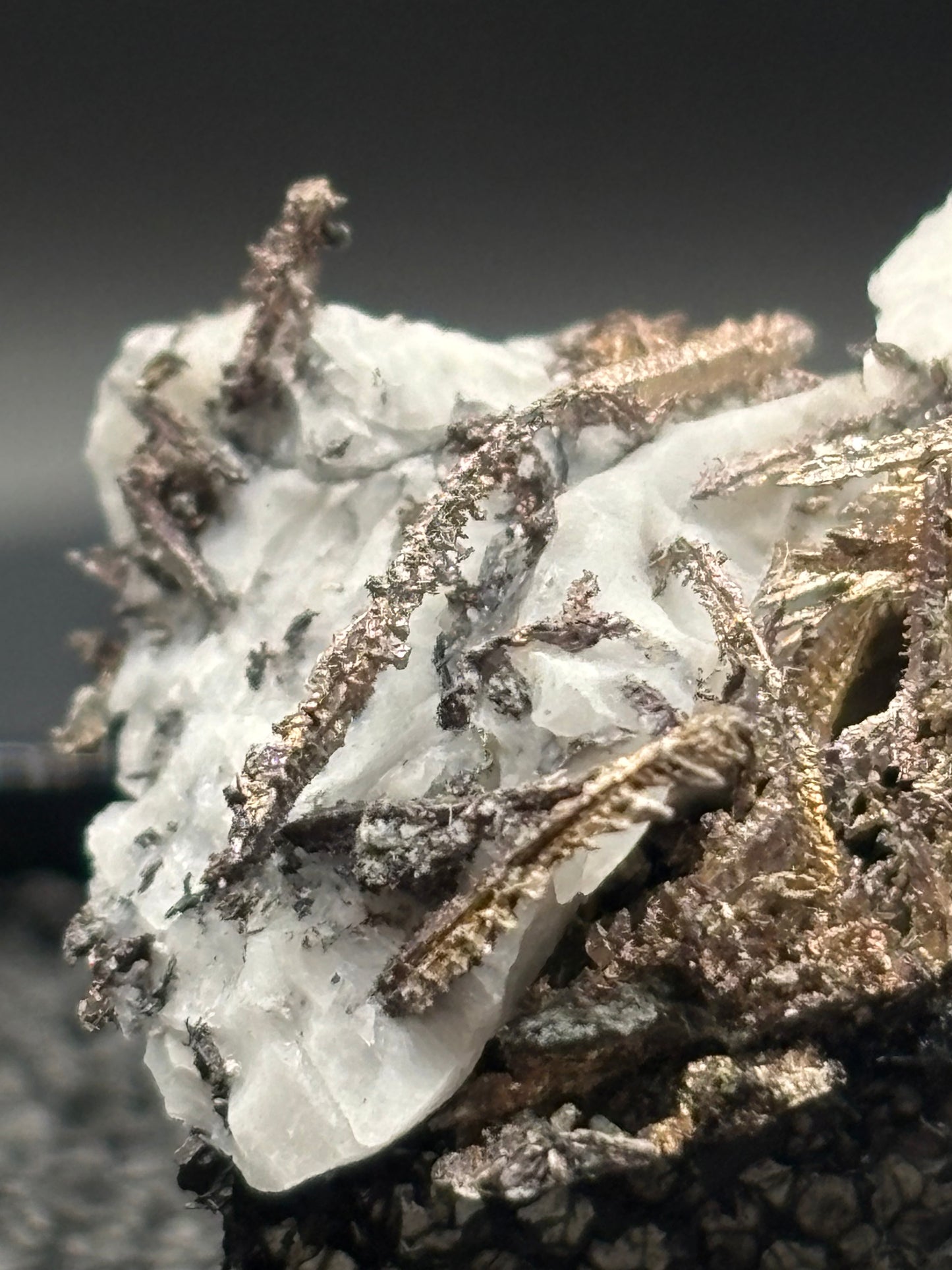 Dendritic Wire Silver – Batopilas, Chihuahua, Mexico – Native Silver Specimen