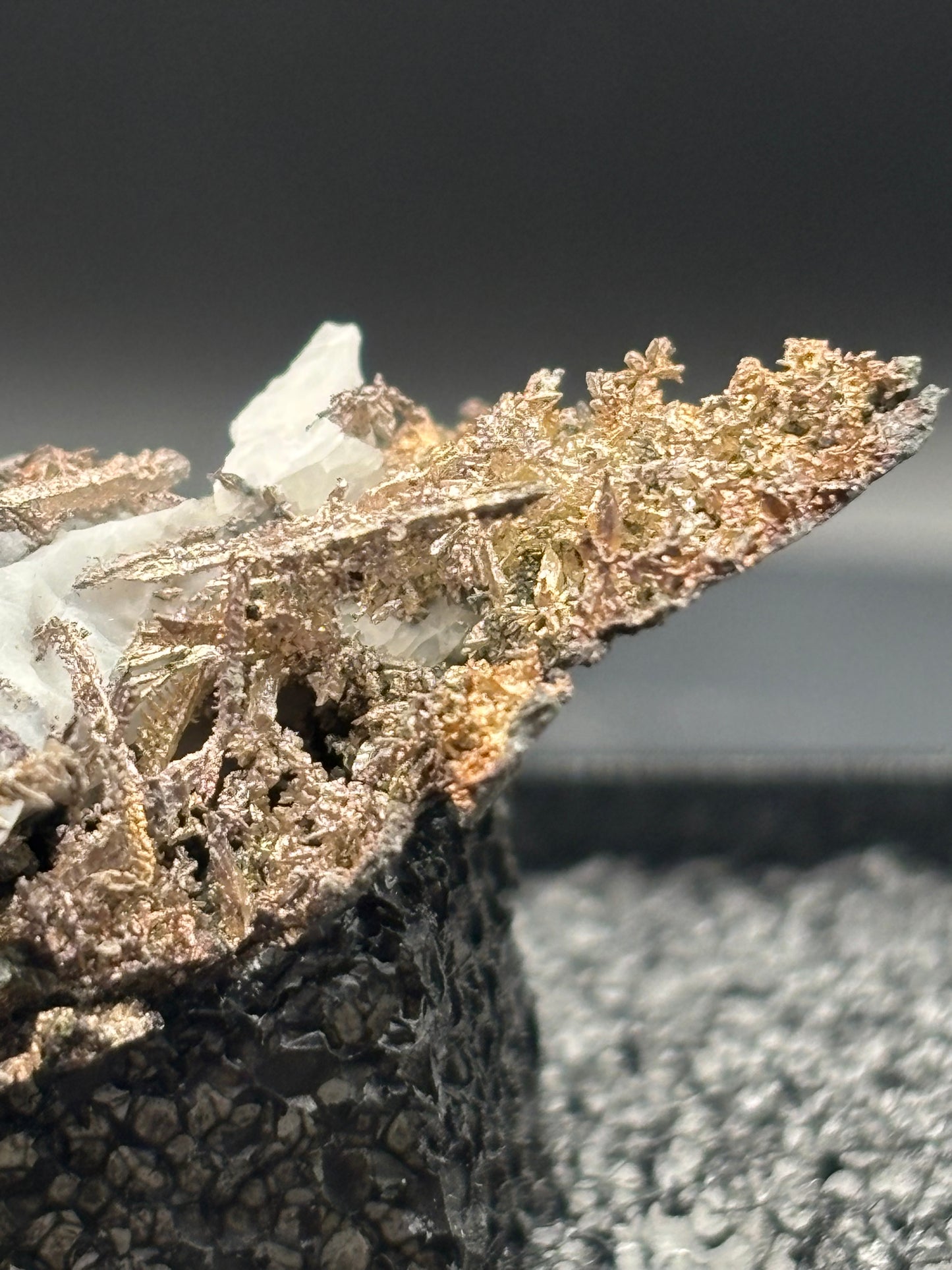 Dendritic Wire Silver – Batopilas, Chihuahua, Mexico – Native Silver Specimen