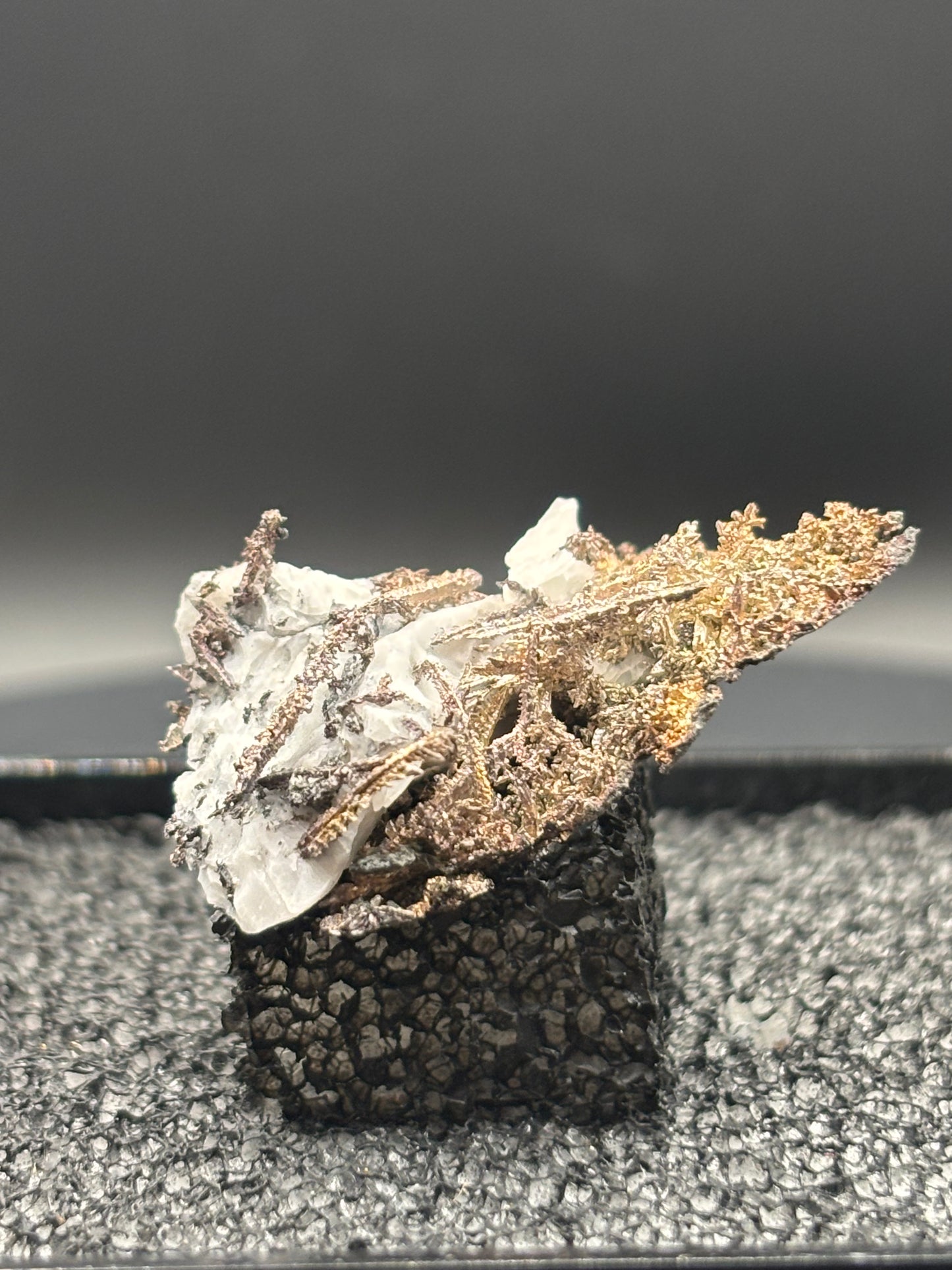 Dendritic Wire Silver – Batopilas, Chihuahua, Mexico – Native Silver Specimen