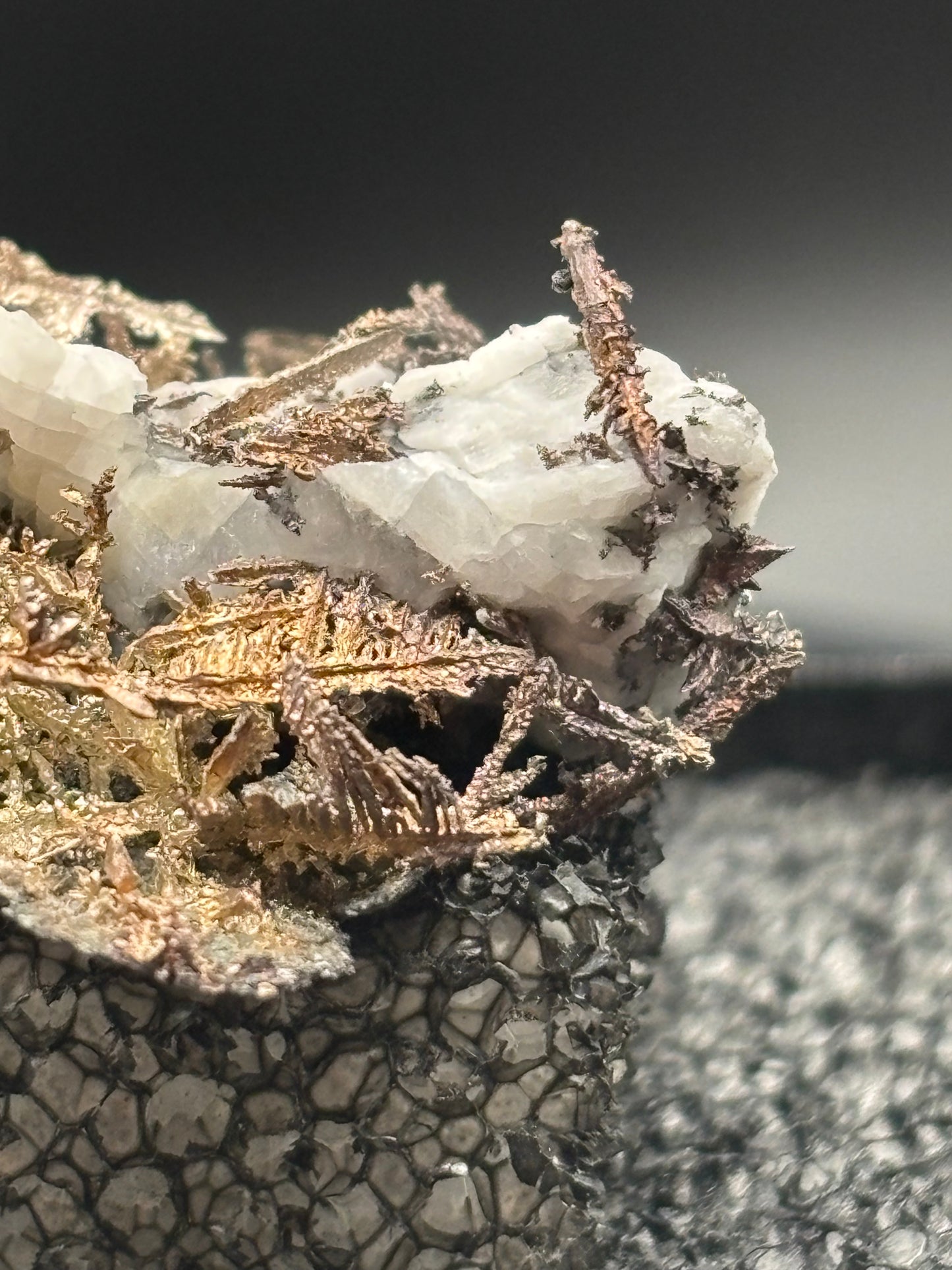 Dendritic Wire Silver – Batopilas, Chihuahua, Mexico – Native Silver Specimen