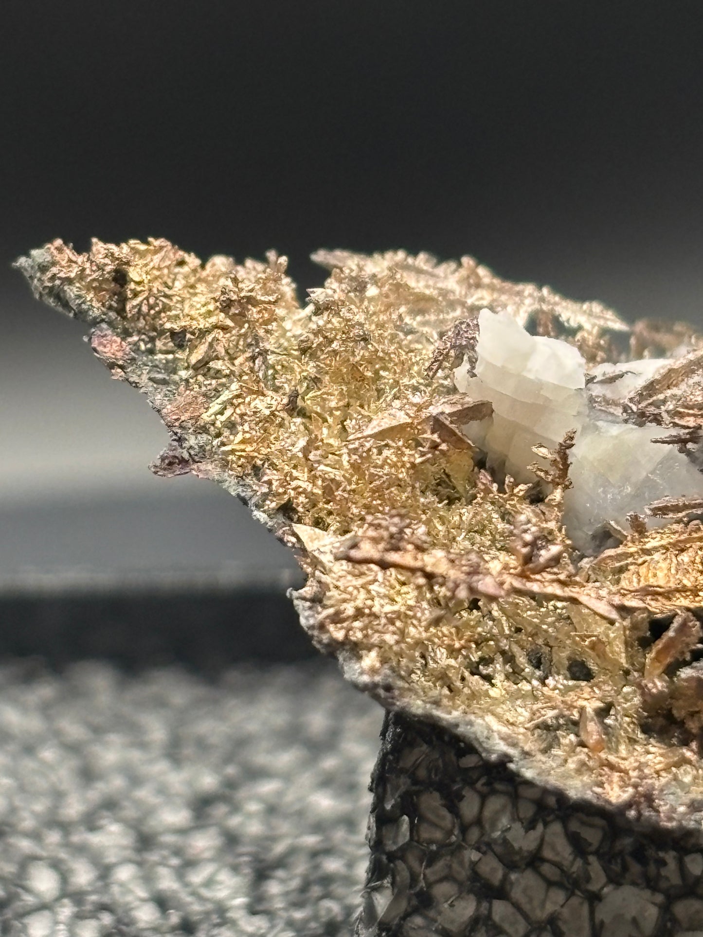 Dendritic Wire Silver – Batopilas, Chihuahua, Mexico – Native Silver Specimen