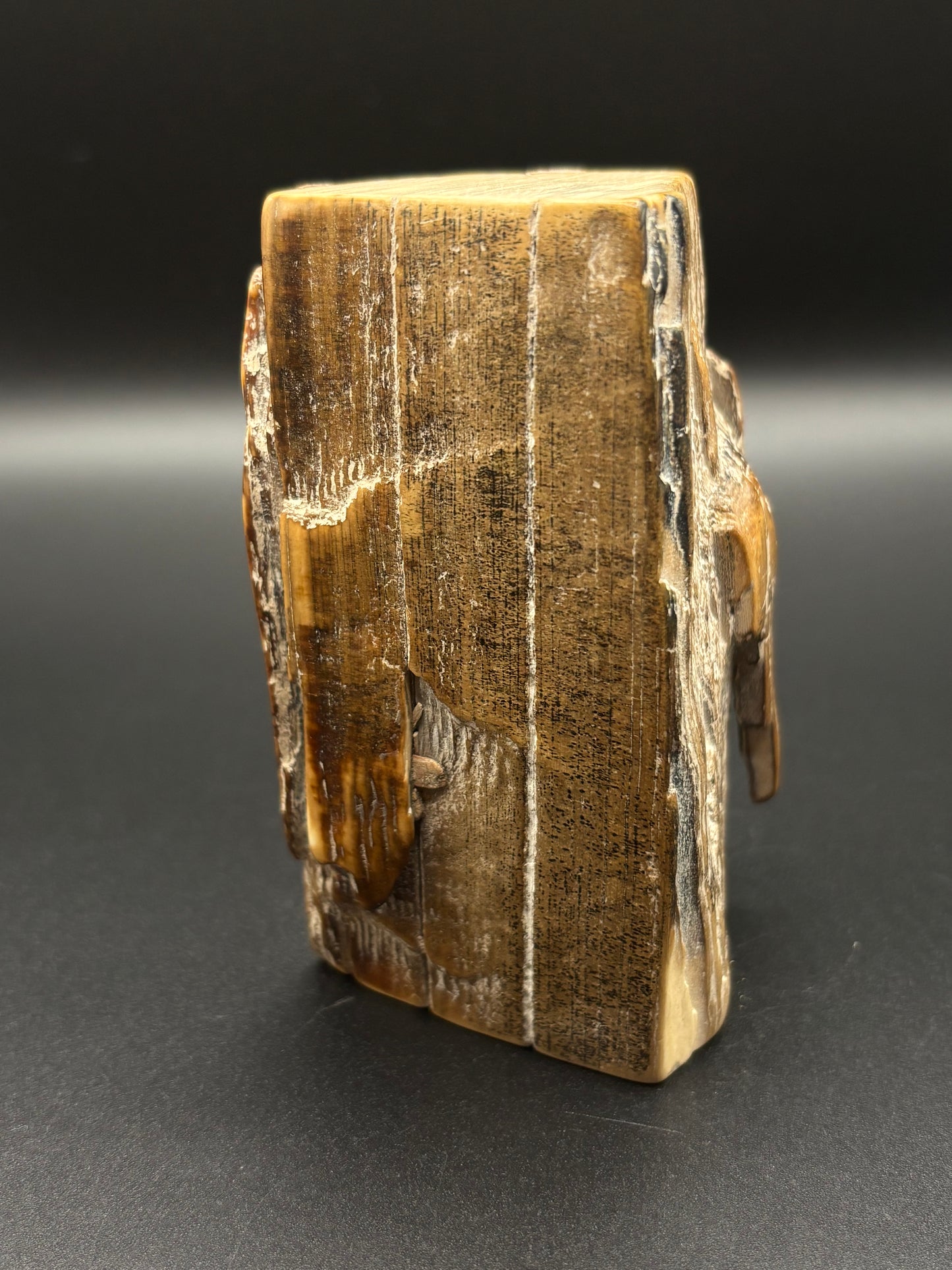 Woolly Mammoth Ivory Tusk Section 7.8 oz – Alaska 2025 Find – Authentic Fossil Specimen