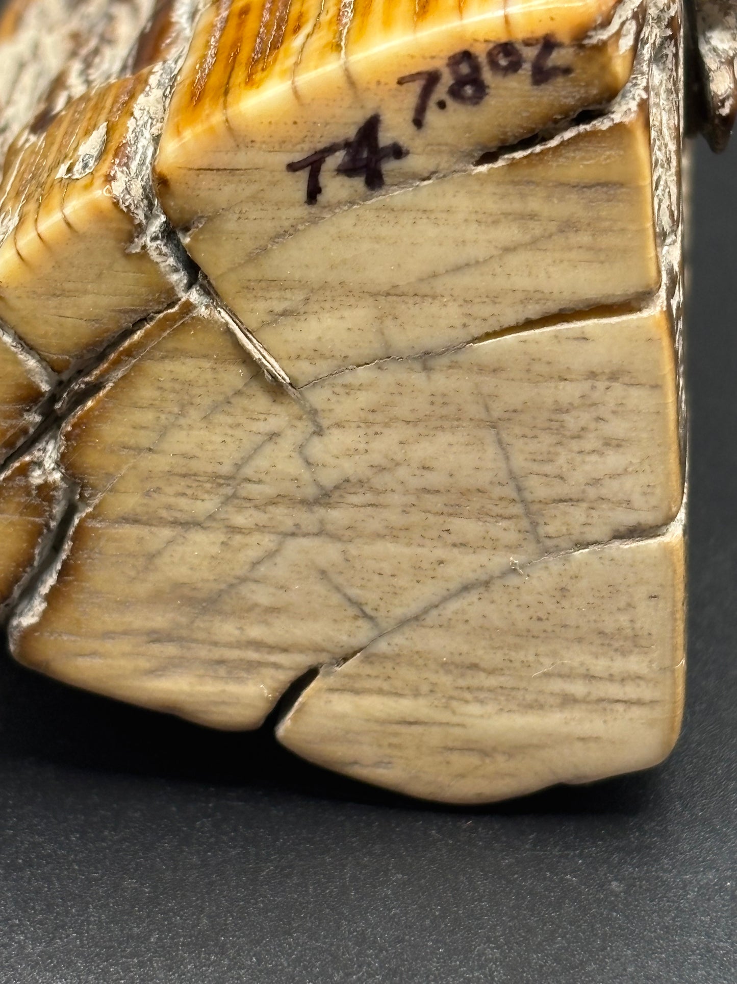 Woolly Mammoth Ivory Tusk Section 7.8 oz – Alaska 2025 Find – Authentic Fossil Specimen