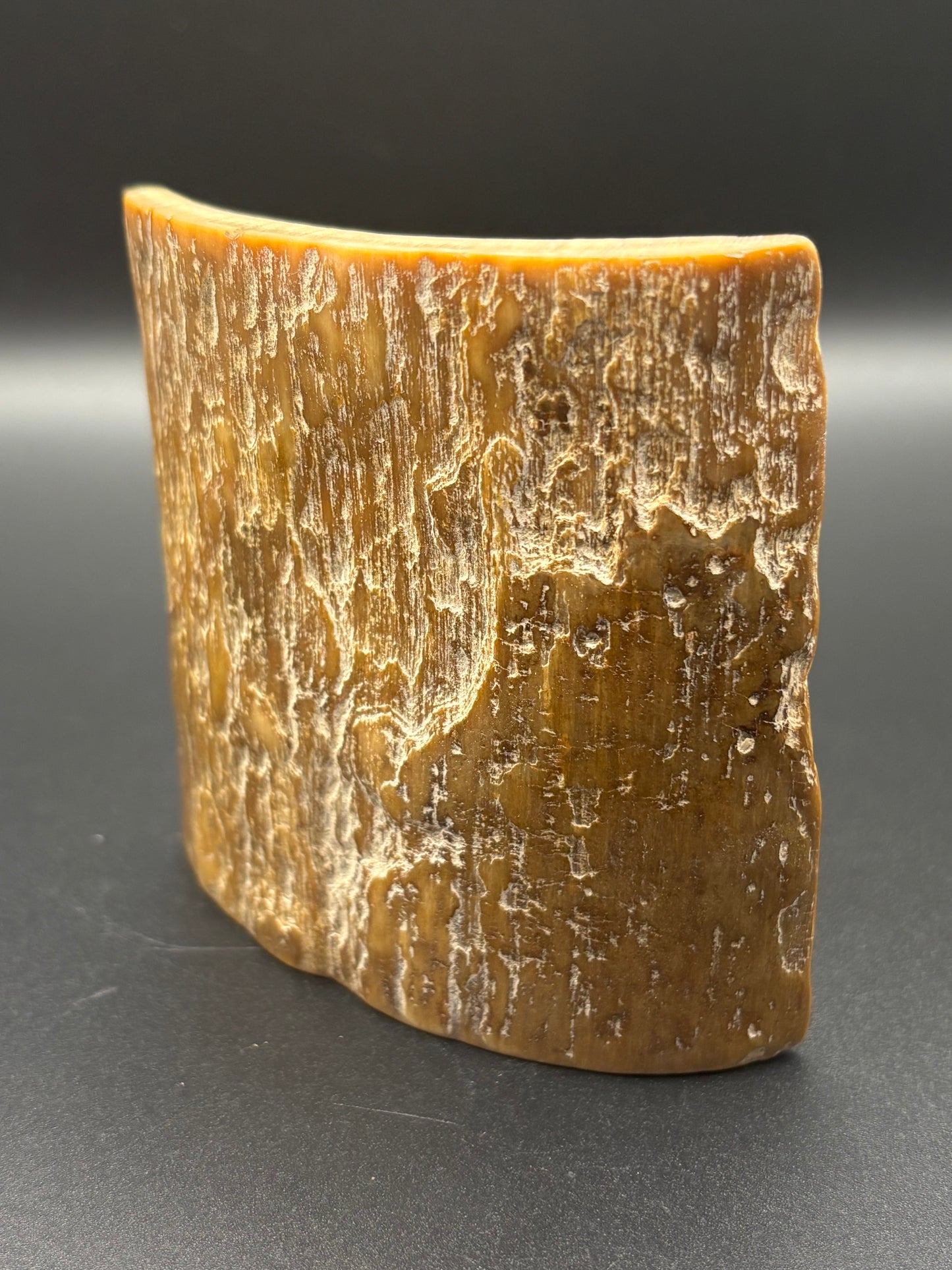 Woolly Mammoth Ivory Tusk Section 3 oz – Alaska 2025 Find – Authentic Fossil Specimen