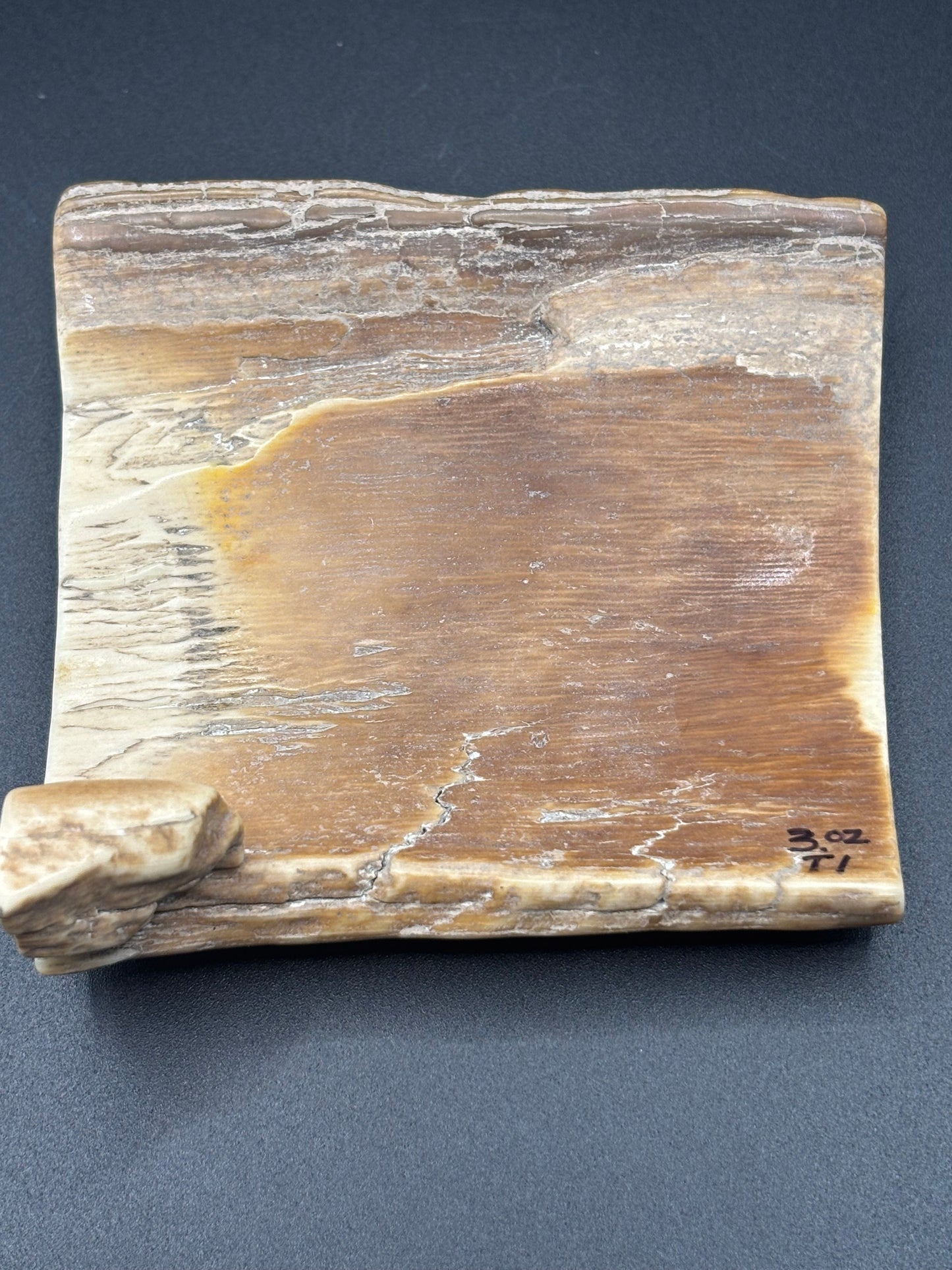 Woolly Mammoth Ivory Tusk Section 3 oz – Alaska 2025 Find – Authentic Fossil Specimen
