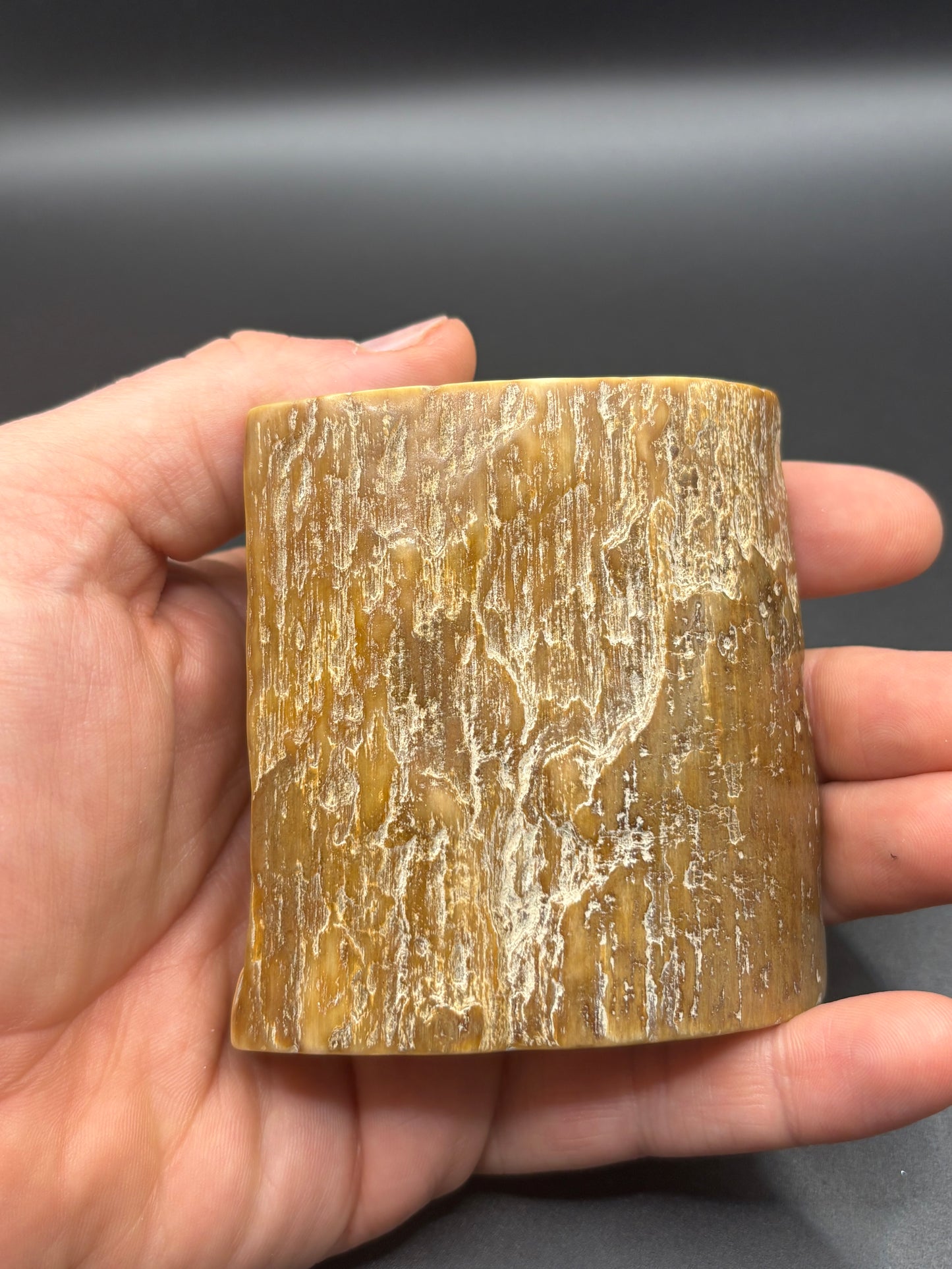 Woolly Mammoth Ivory Tusk Section 3 oz – Alaska 2025 Find – Authentic Fossil Specimen