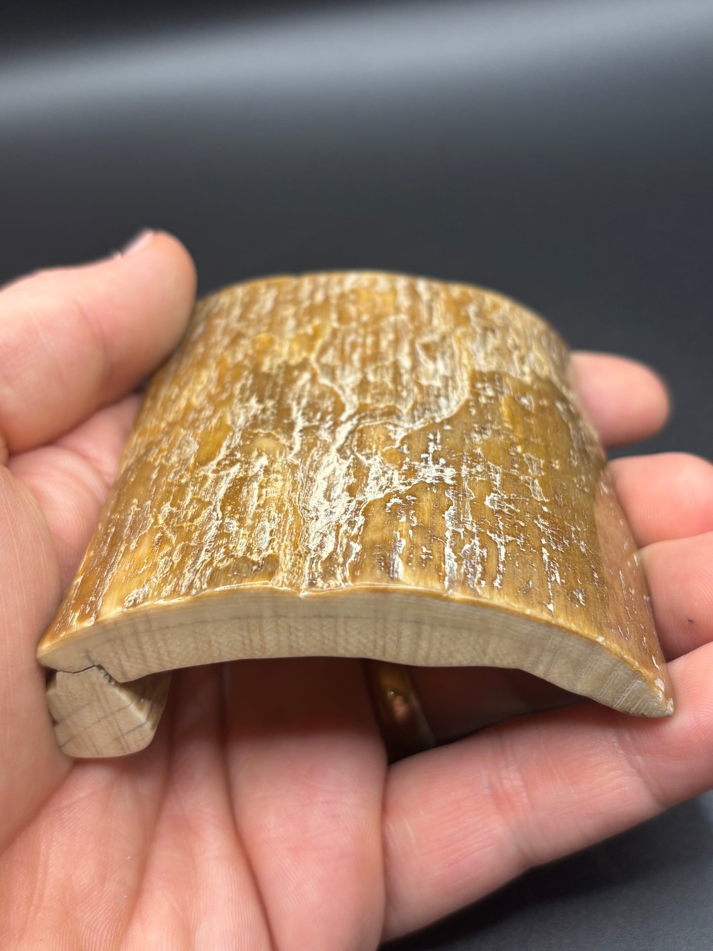 Woolly Mammoth Ivory Tusk Section 3 oz – Alaska 2025 Find – Authentic Fossil Specimen