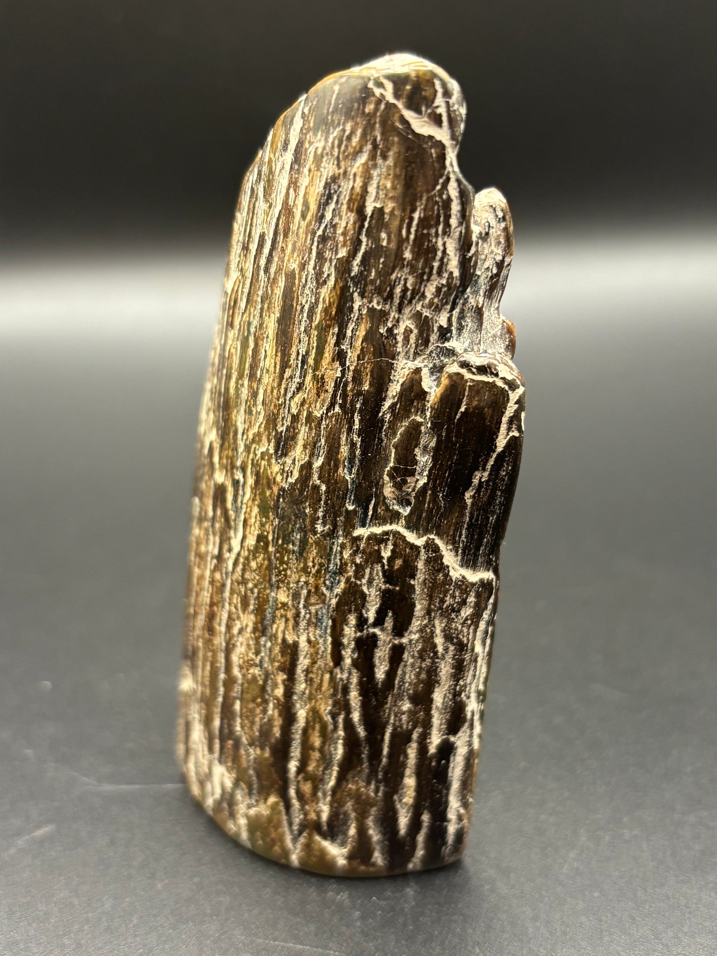 Woolly Mammoth Ivory Tusk Section 3 oz – Alaska 2025 Find – Authentic Fossil Specimen