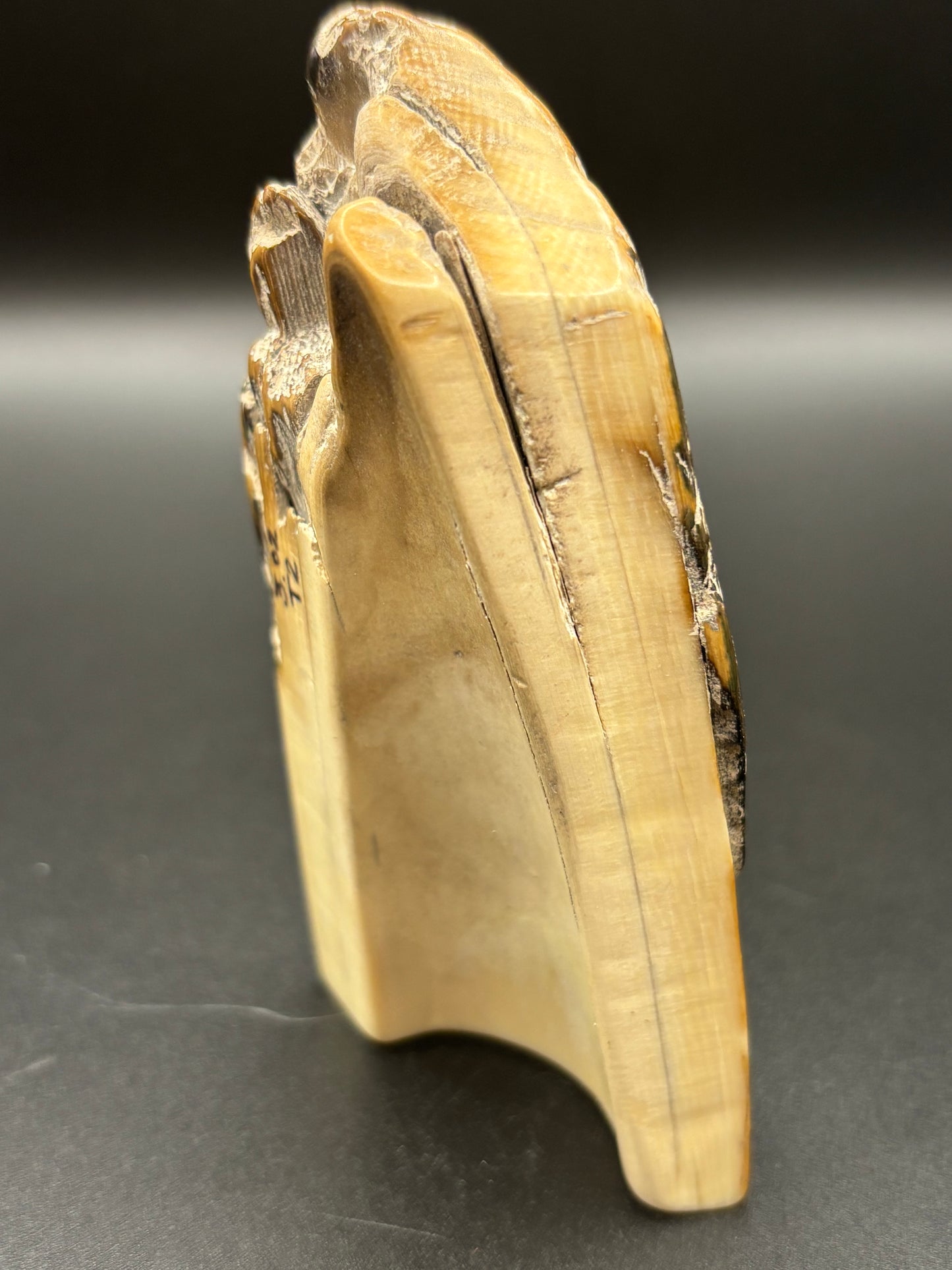 Woolly Mammoth Ivory Tusk Section 3 oz – Alaska 2025 Find – Authentic Fossil Specimen