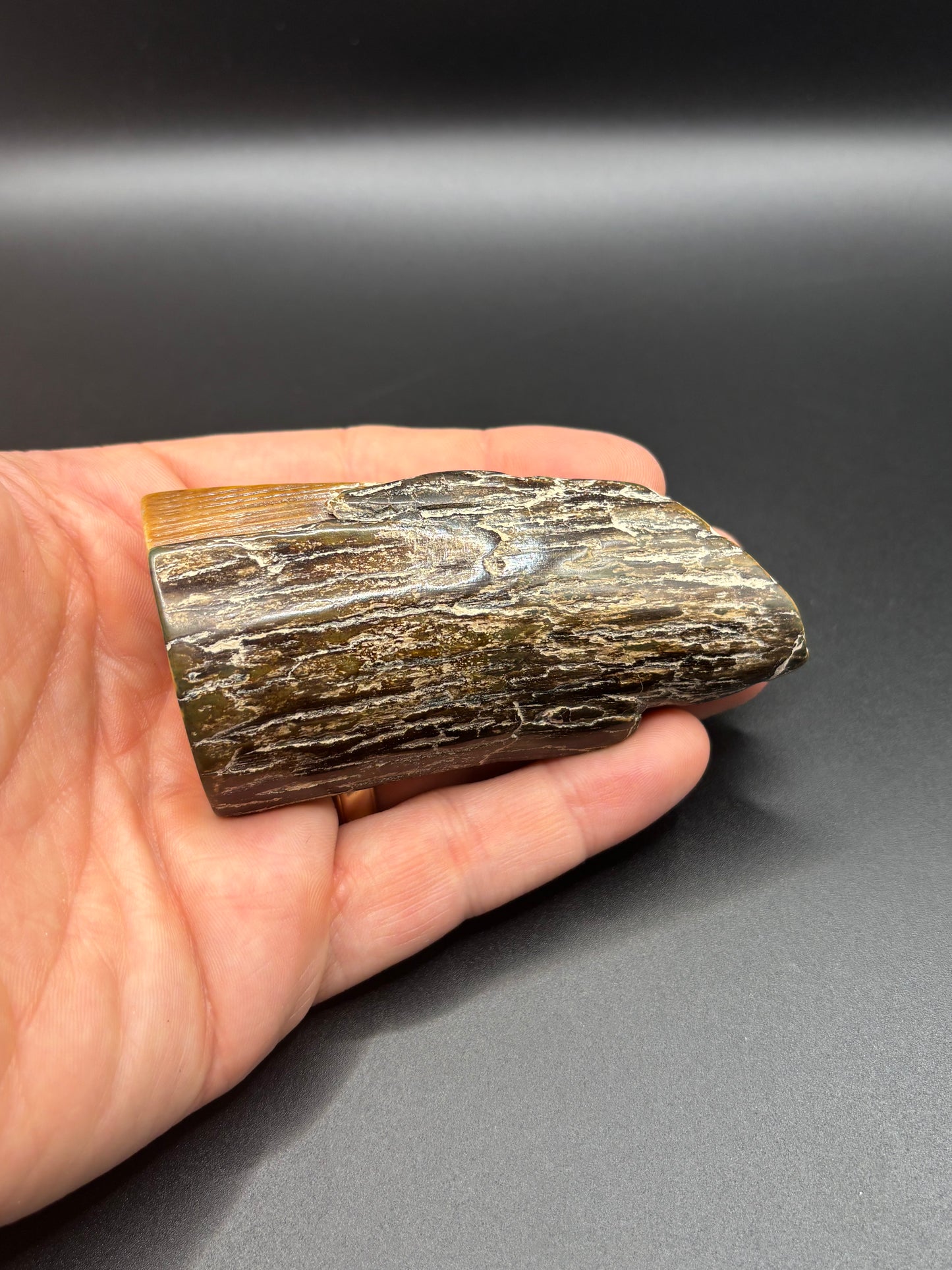 Woolly Mammoth Ivory Tusk Section 3 oz – Alaska 2025 Find – Authentic Fossil Specimen