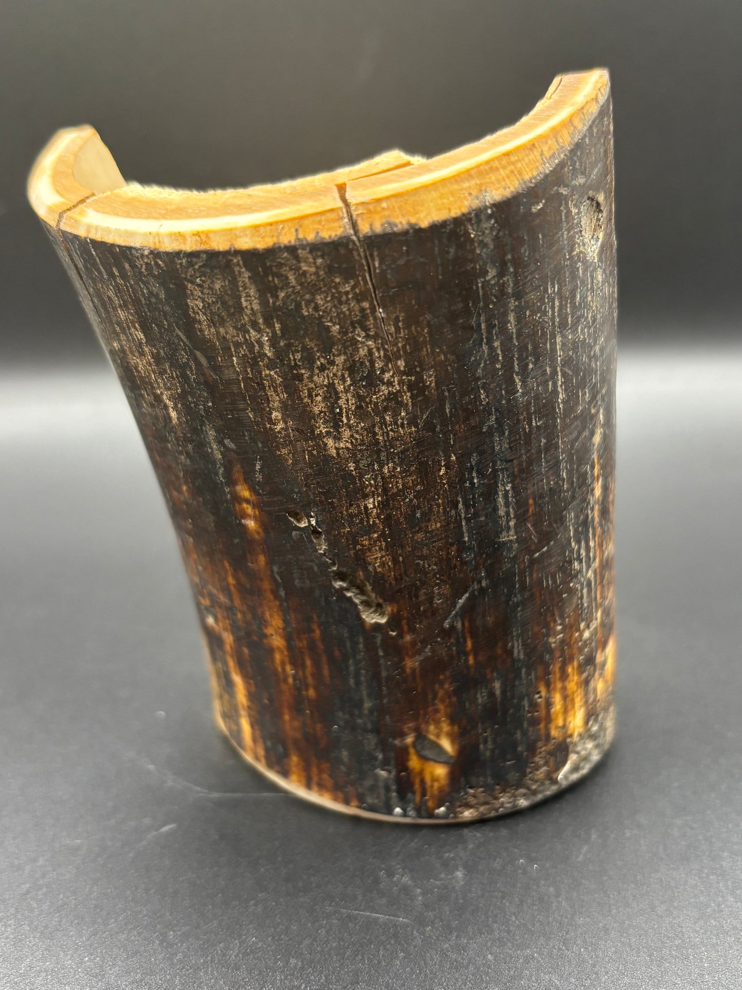 Woolly Mammoth Ivory Tusk Section 6.4 oz – Alaska 2025 Find – Authentic Fossil Specimen