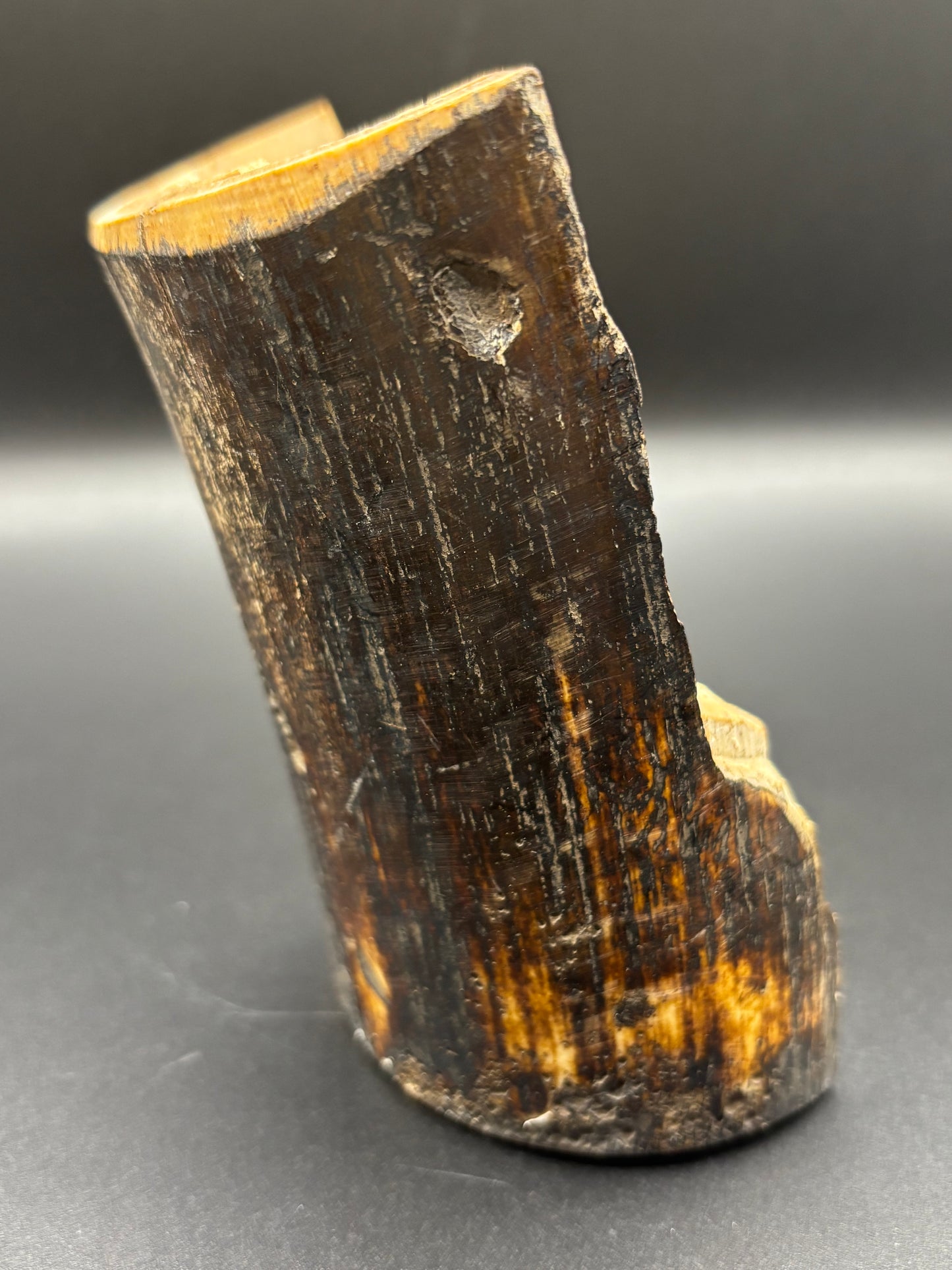 Woolly Mammoth Ivory Tusk Section 6.4 oz – Alaska 2025 Find – Authentic Fossil Specimen