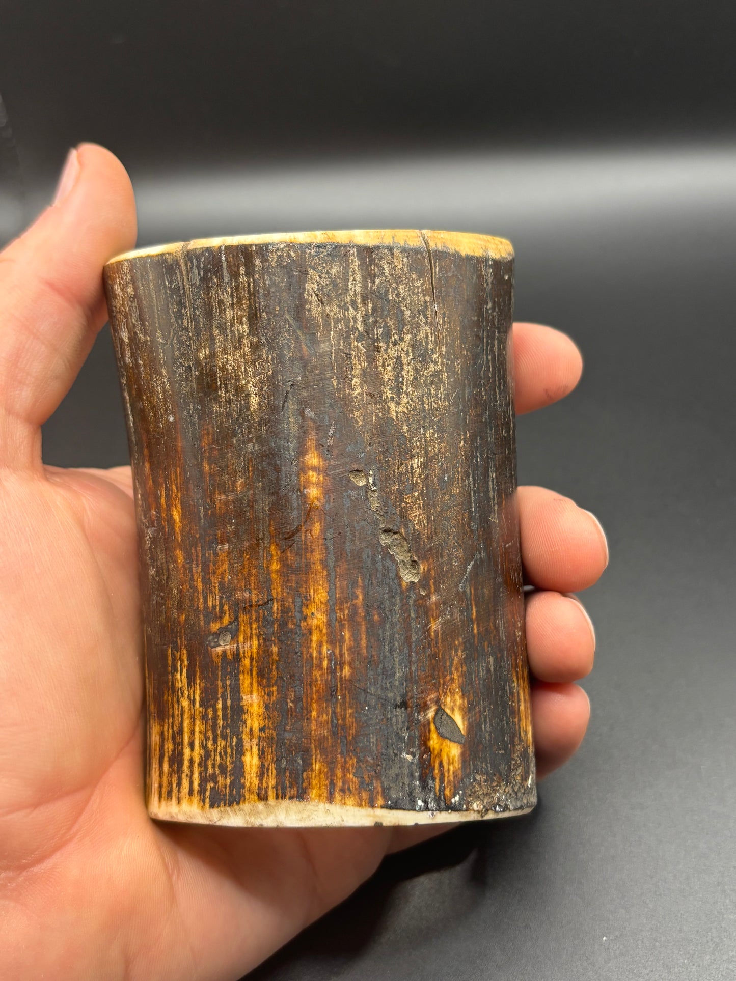 Woolly Mammoth Ivory Tusk Section 6.4 oz – Alaska 2025 Find – Authentic Fossil Specimen