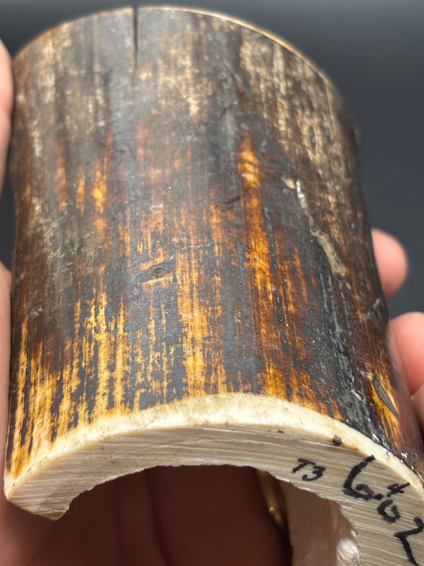 Woolly Mammoth Ivory Tusk Section 6.4 oz – Alaska 2025 Find – Authentic Fossil Specimen