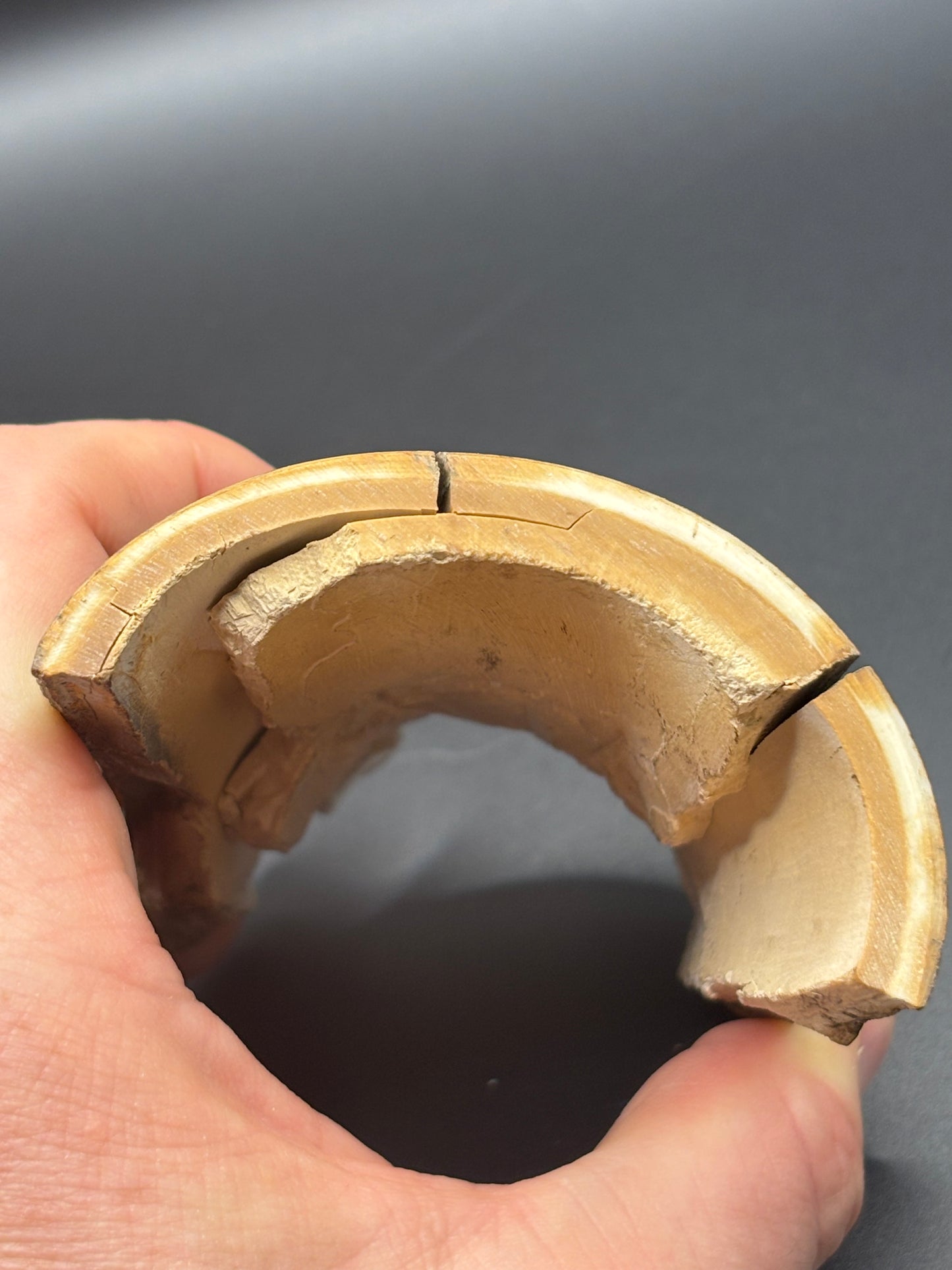 Woolly Mammoth Ivory Tusk Section 6.4 oz – Alaska 2025 Find – Authentic Fossil Specimen