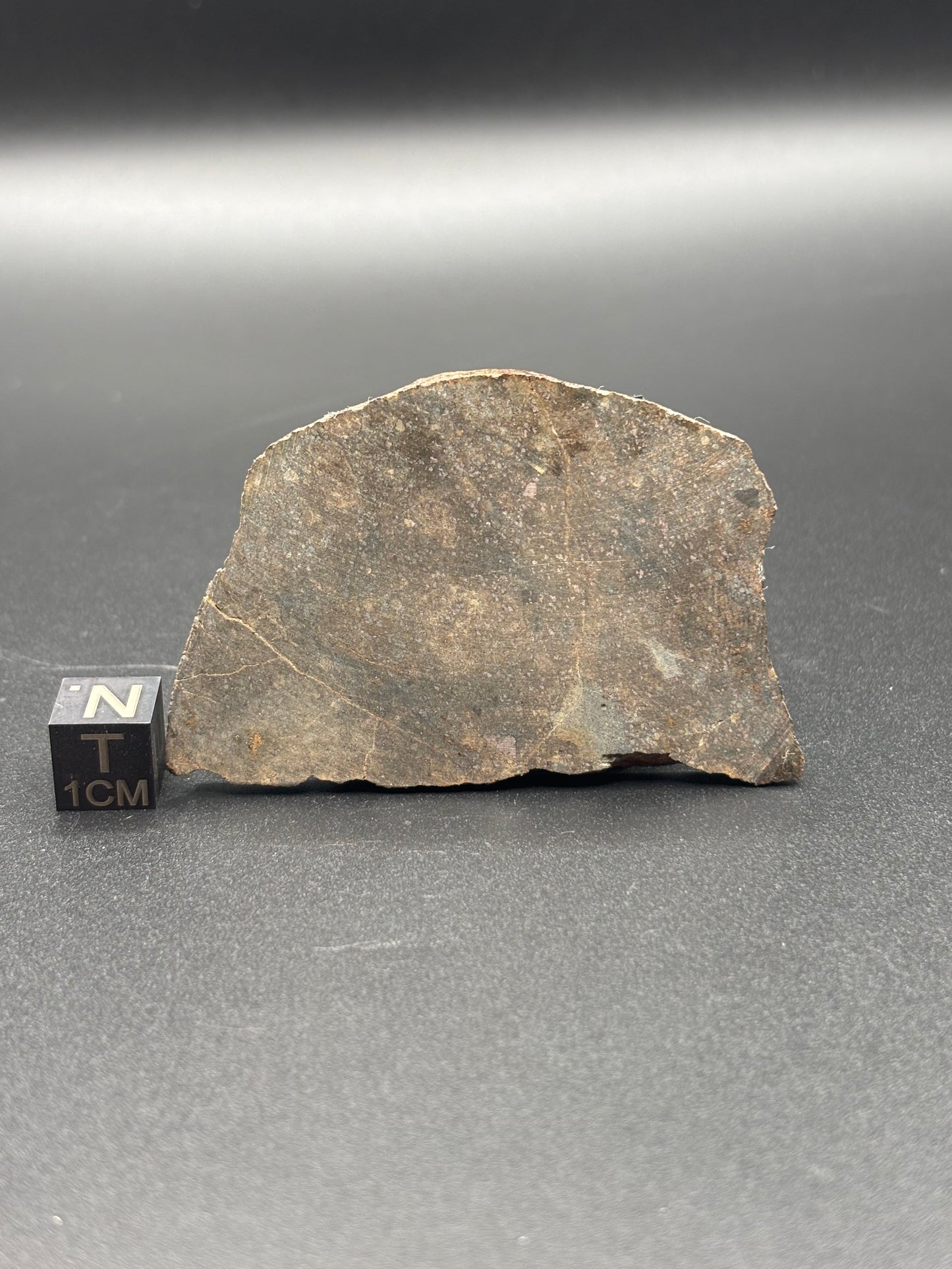 Buck Mountain Wash H3-5 Chondrite Meteorite — Slice (30.8g)