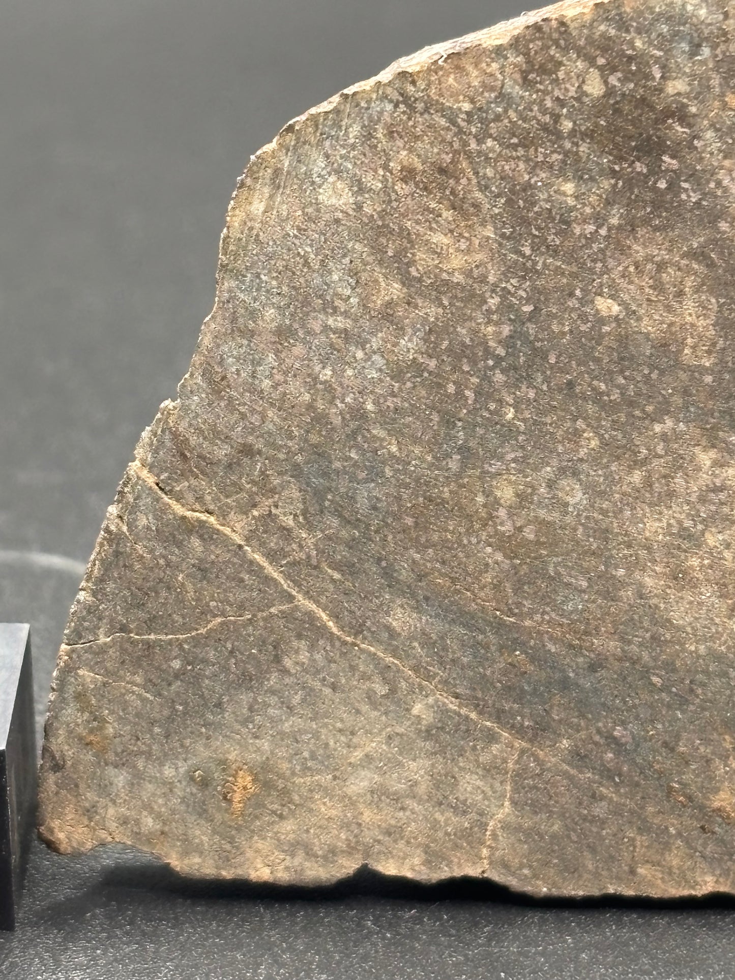 Buck Mountain Wash H3-5 Chondrite Meteorite — Slice (30.8g)