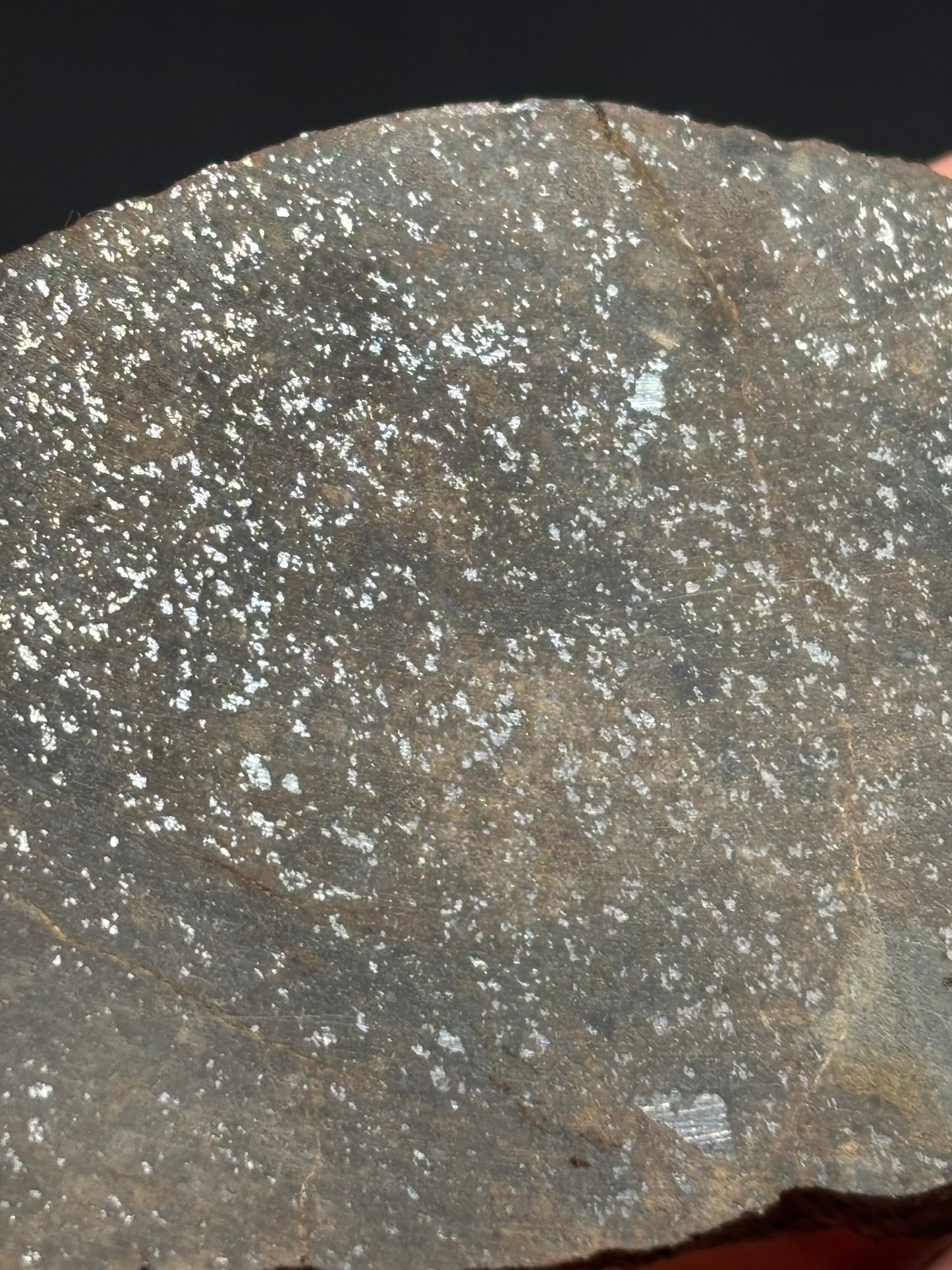 Buck Mountain Wash H3-5 Chondrite Meteorite — Slice (30.8g)