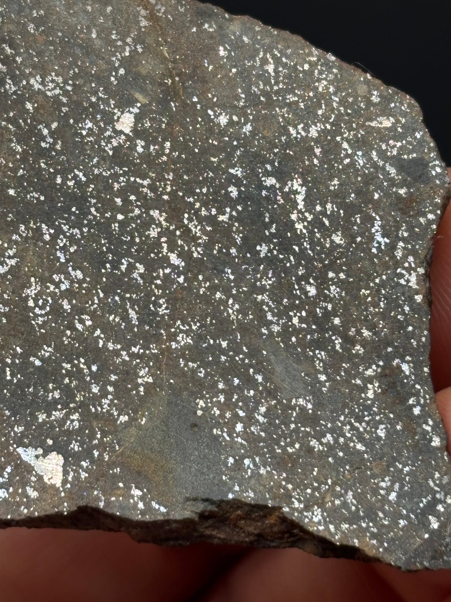 Buck Mountain Wash H3-5 Chondrite Meteorite — Slice (30.8g)
