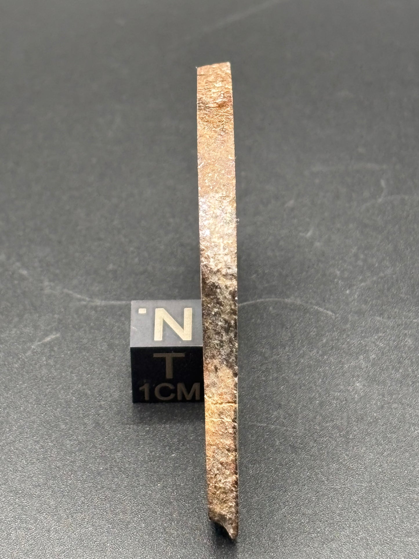 Buck Mountain Wash H3-5 Chondrite Meteorite — Slice (30.8g)