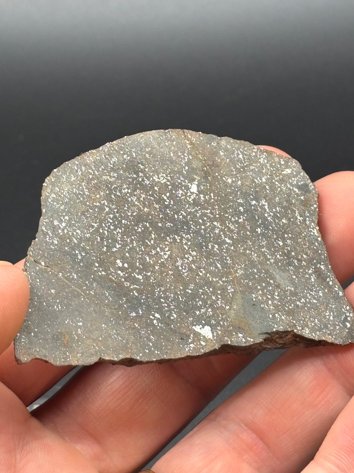 Buck Mountain Wash H3-5 Chondrite Meteorite — Slice (30.8g)