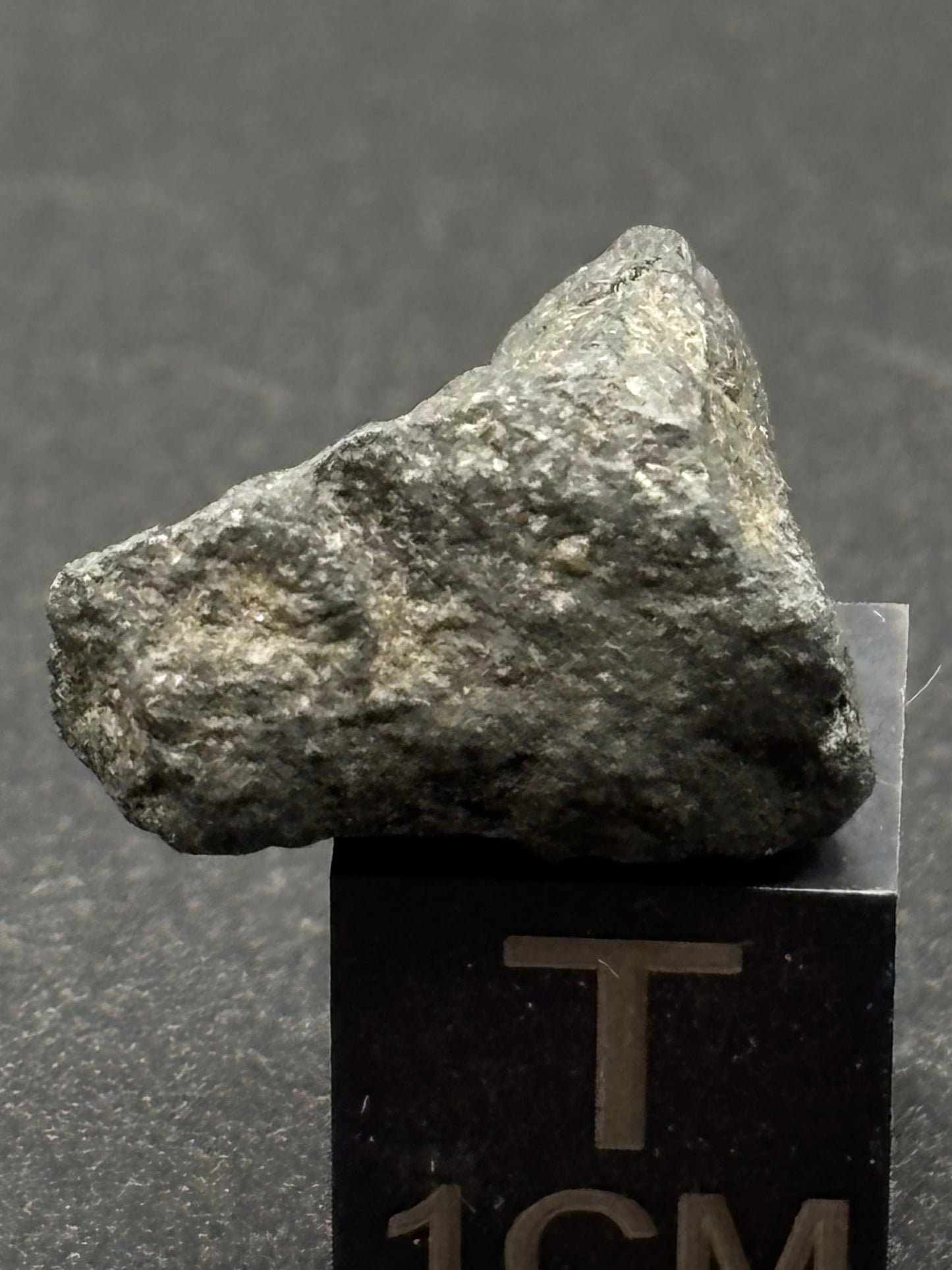 Aguas Zarcas CM2 Carbonaceous Chondrite — Fragment 1.75g