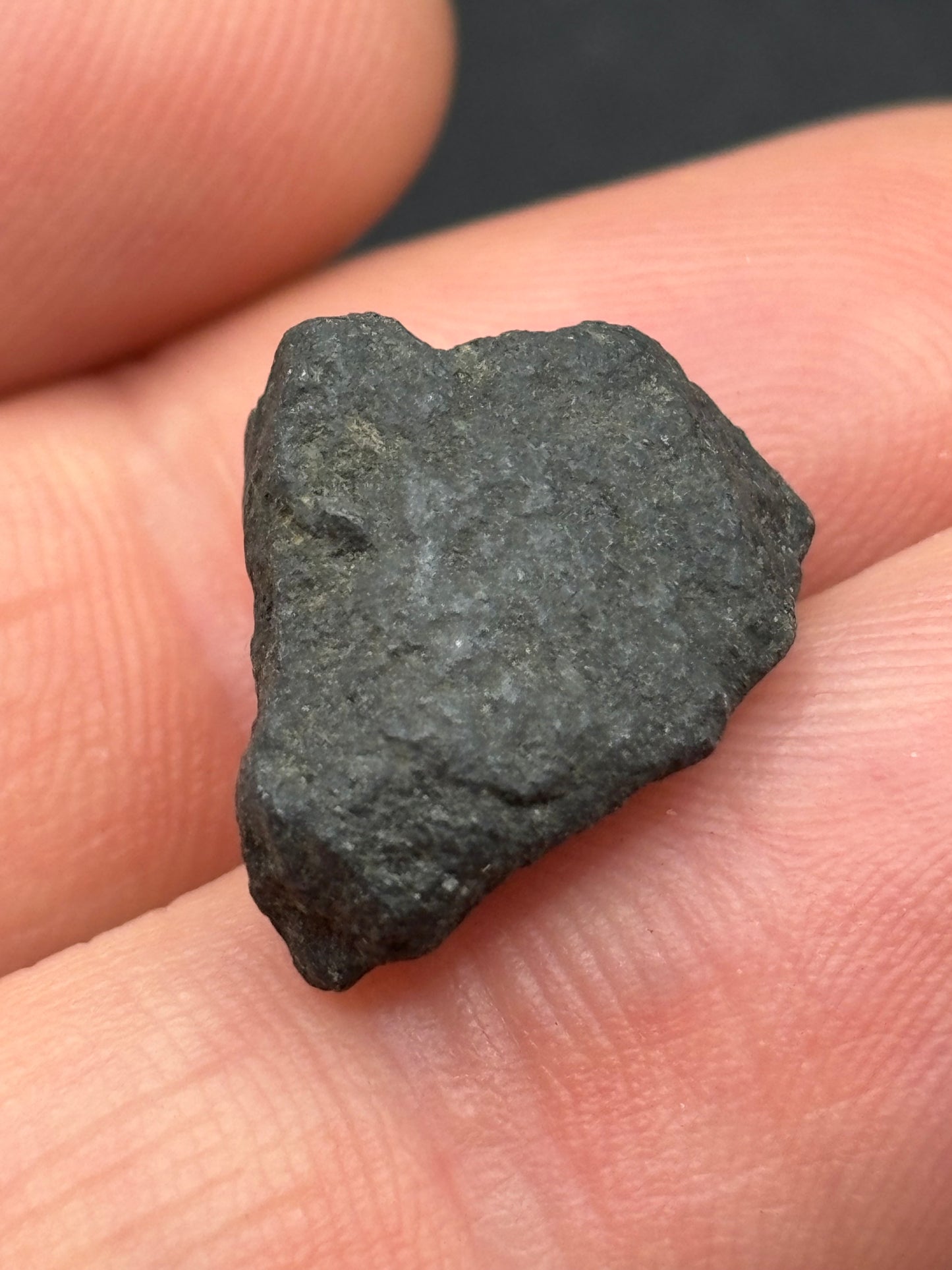 Aguas Zarcas CM2 Carbonaceous Chondrite — Fragment 1.75g