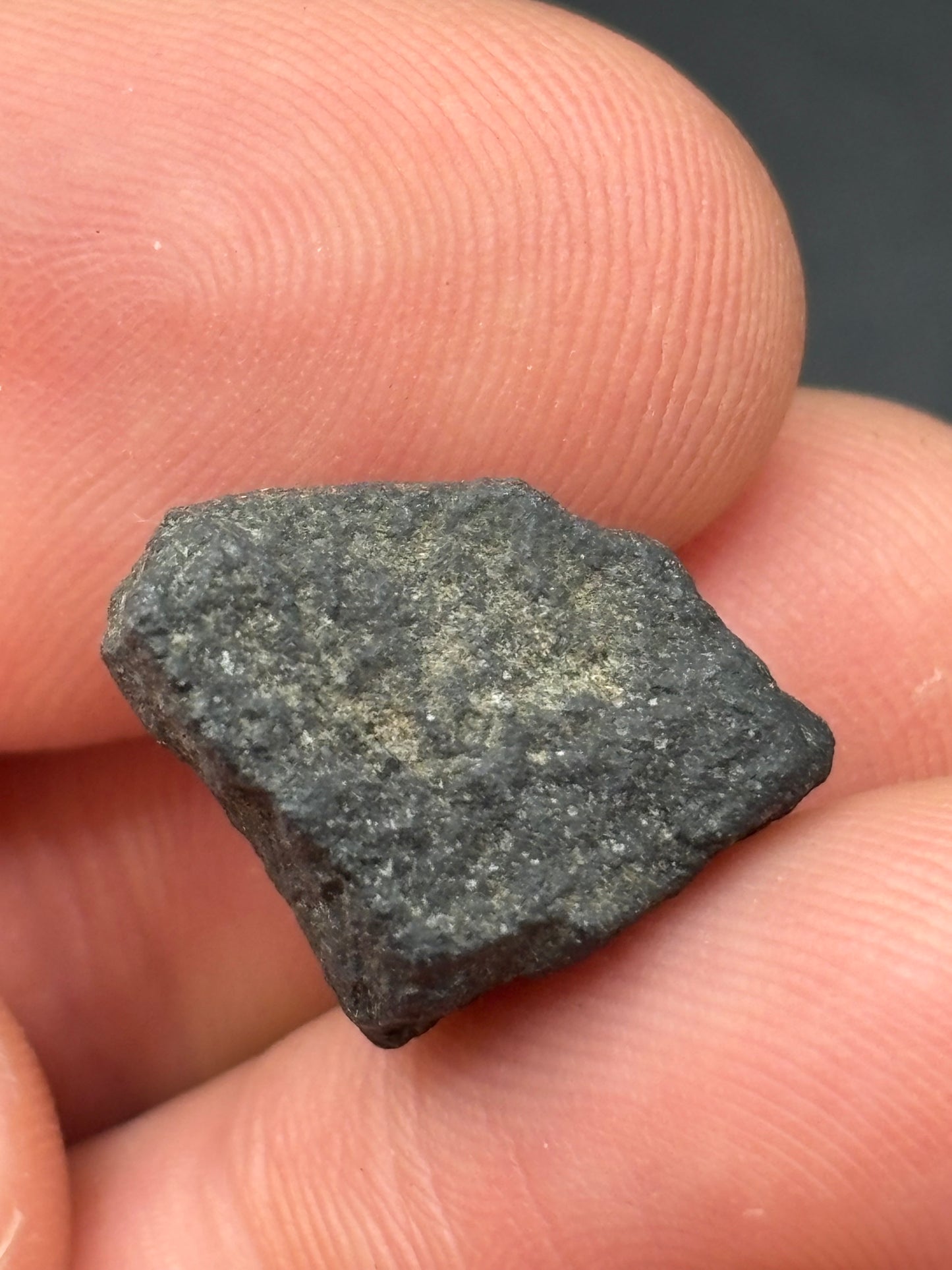 Aguas Zarcas CM2 Carbonaceous Chondrite — Fragment 1.75g