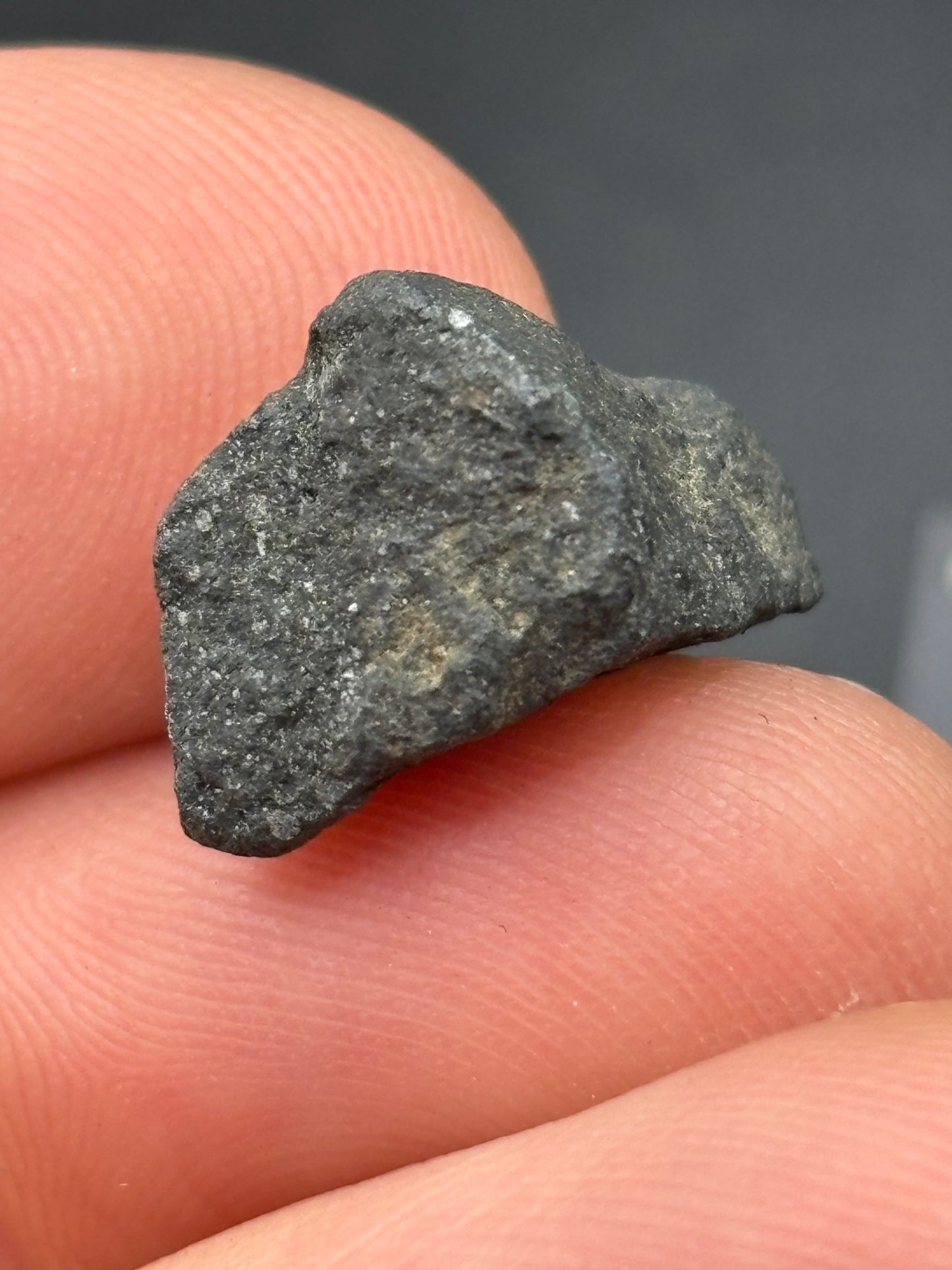 Aguas Zarcas CM2 Carbonaceous Chondrite — Fragment 1.75g