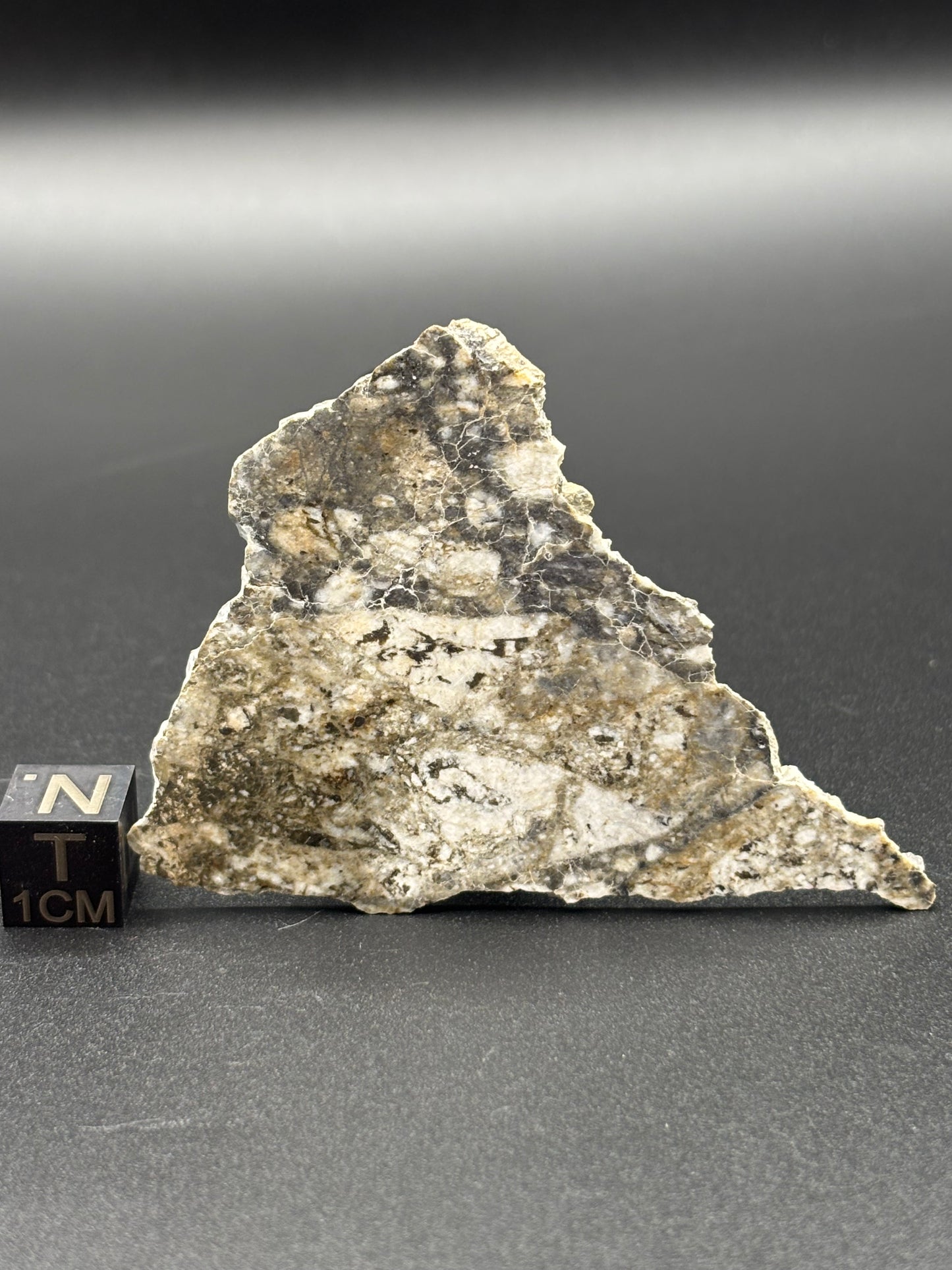 Touat 005 Lunar Feldspathic Breccia — Slice (8.25g)