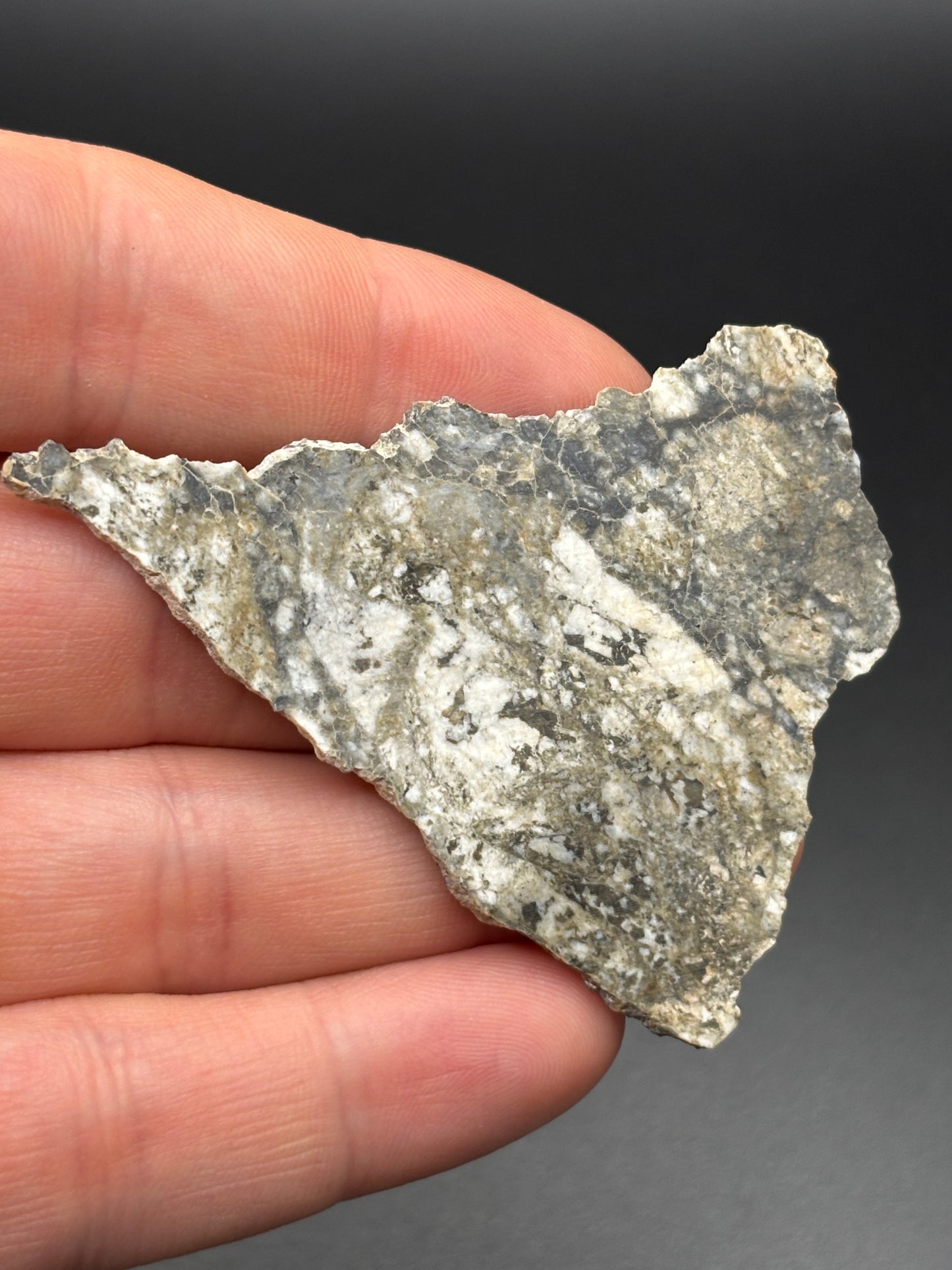 Touat 005 Lunar Feldspathic Breccia — Slice (8.25g)