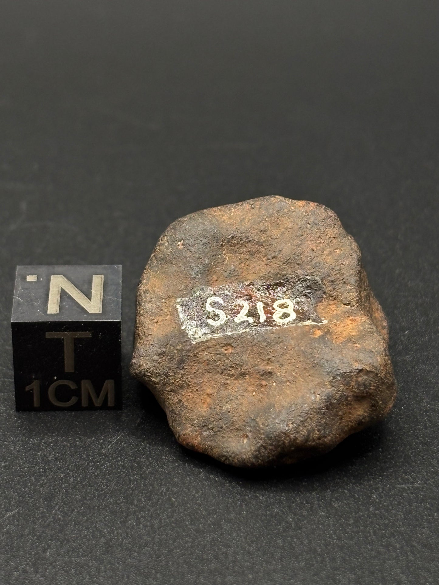 Tenham L6 Chondrite — Individual (18.16g)