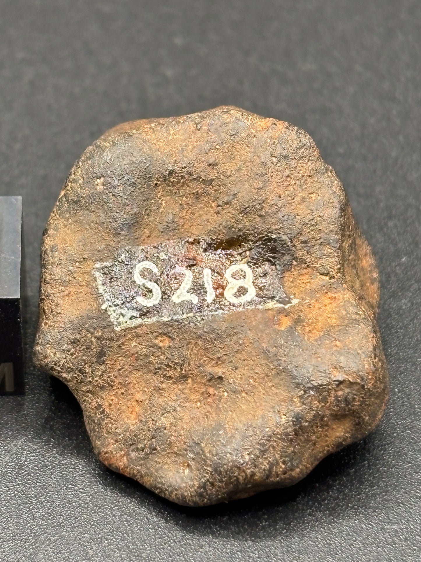 Tenham L6 Chondrite — Individual (18.16g)