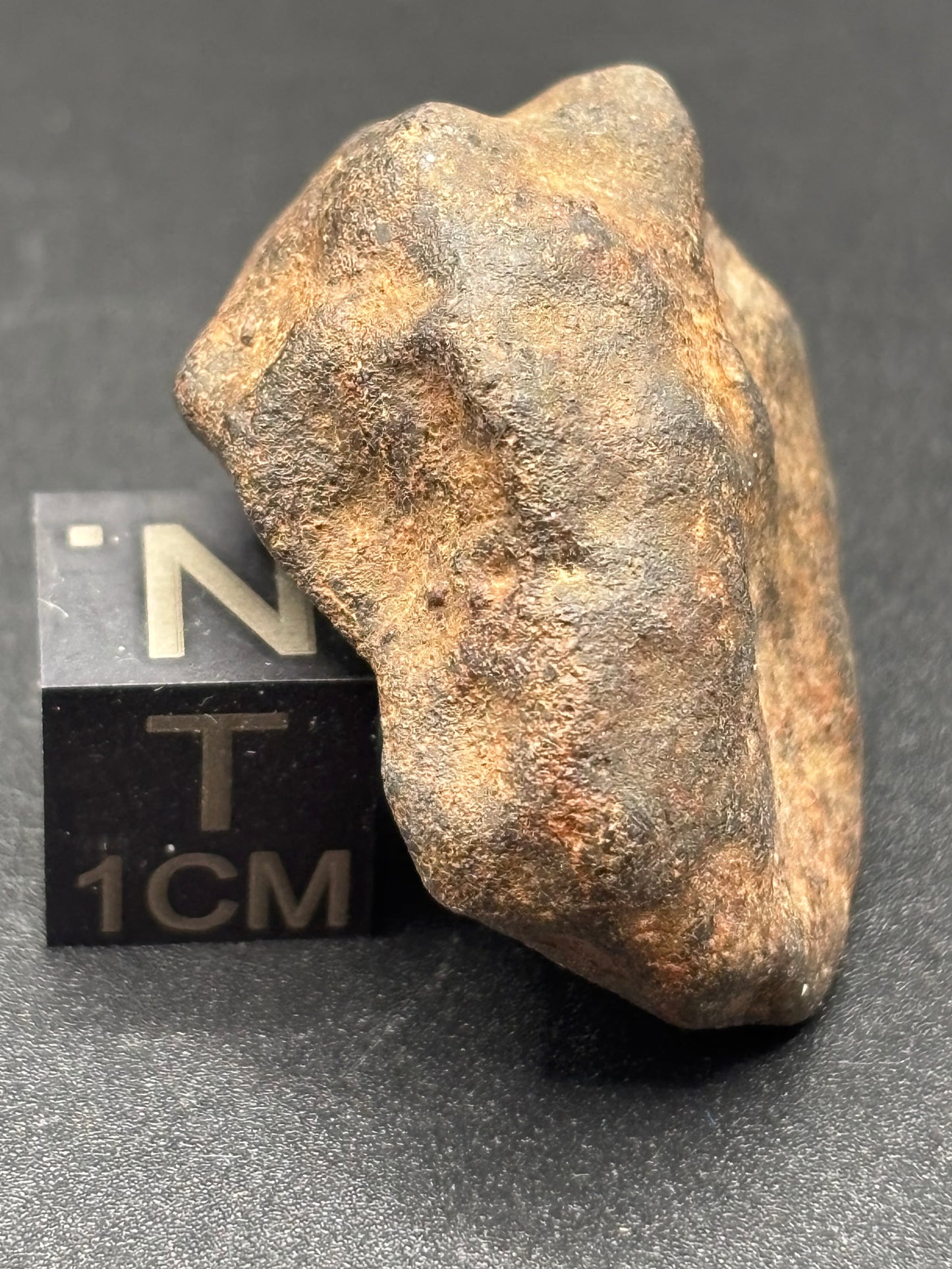 Tenham L6 Chondrite — Individual (18.16g)