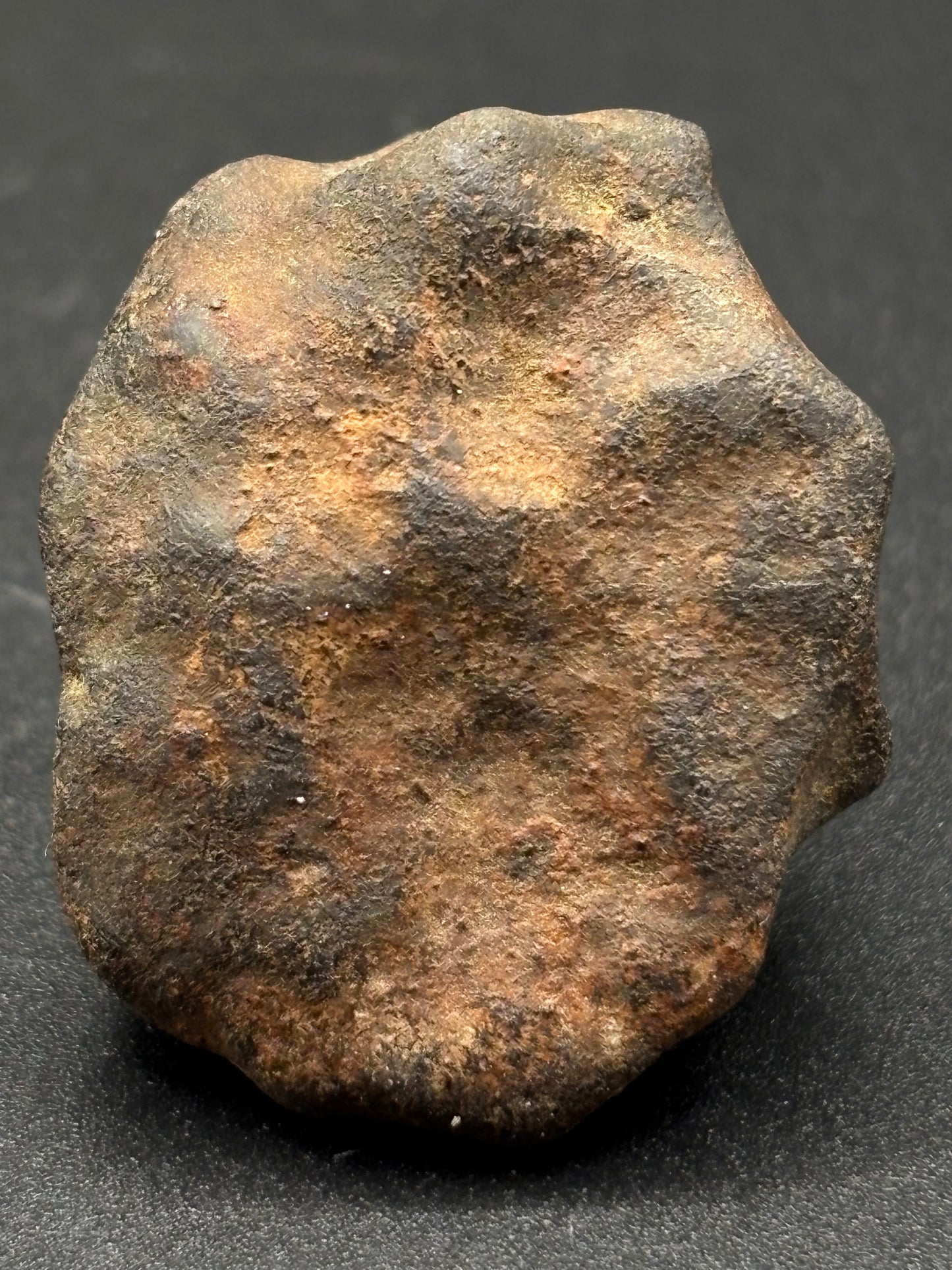 Tenham L6 Chondrite — Individual (18.16g)