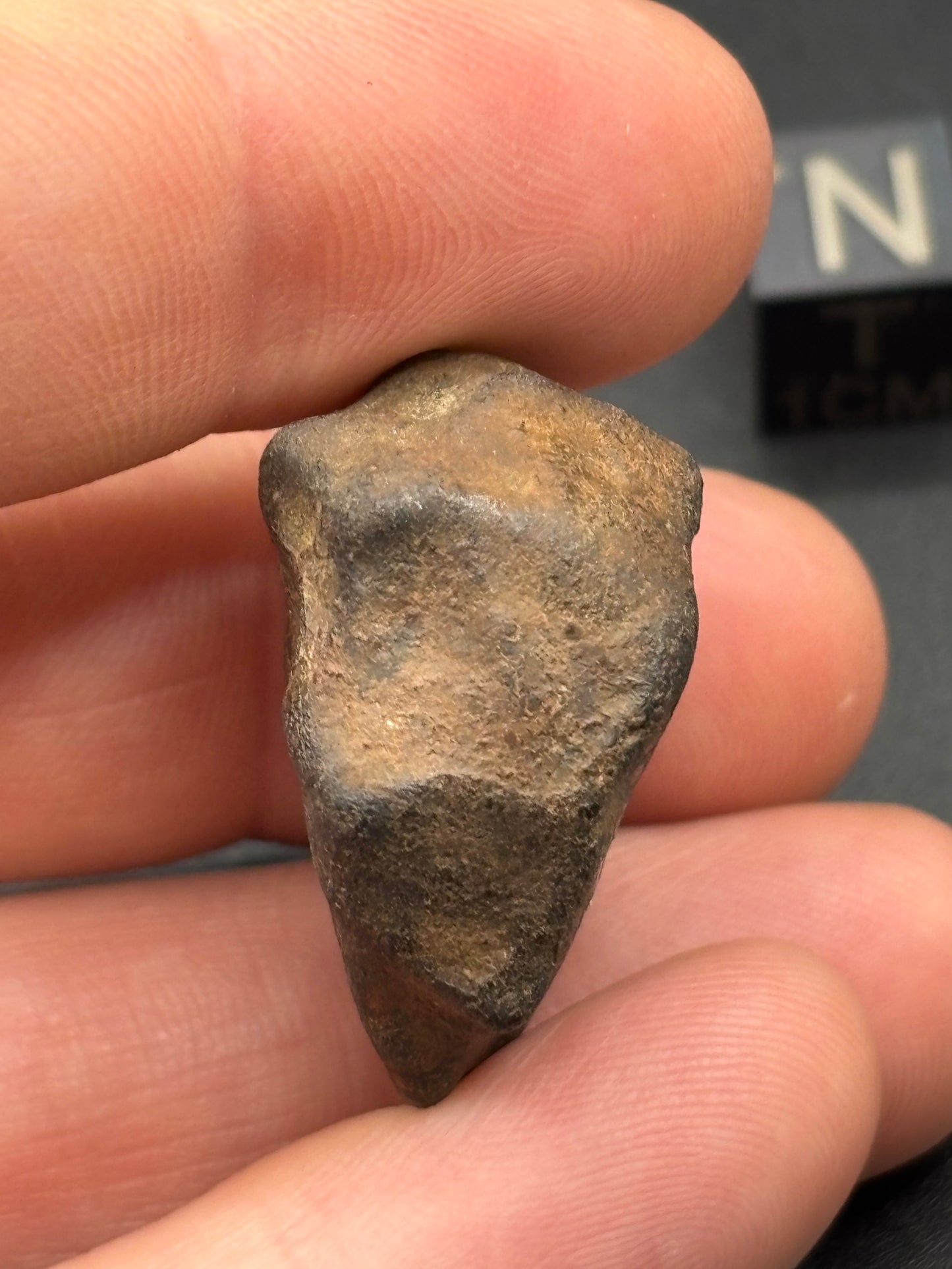 Tenham L6 Chondrite — Individual (18.16g)