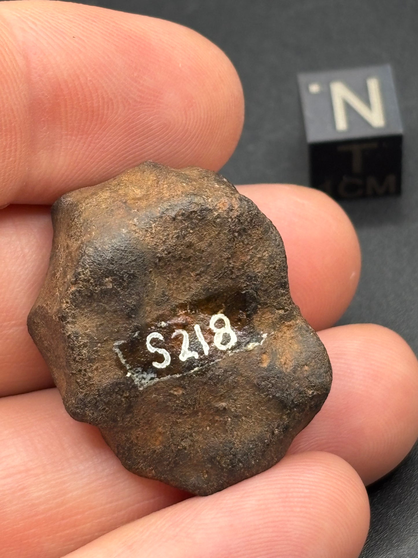Tenham L6 Chondrite — Individual (18.16g)