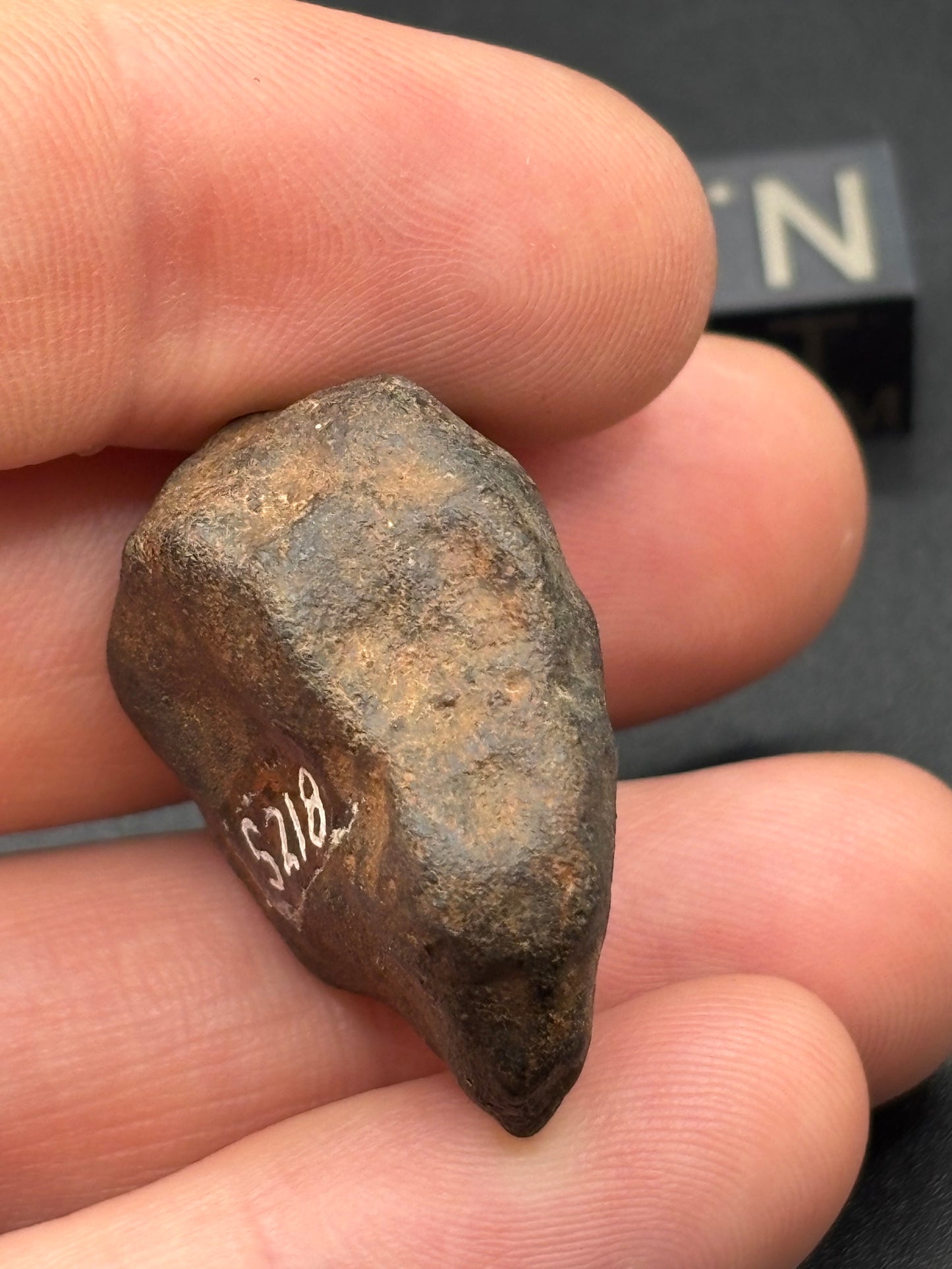 Tenham L6 Chondrite — Individual (18.16g)