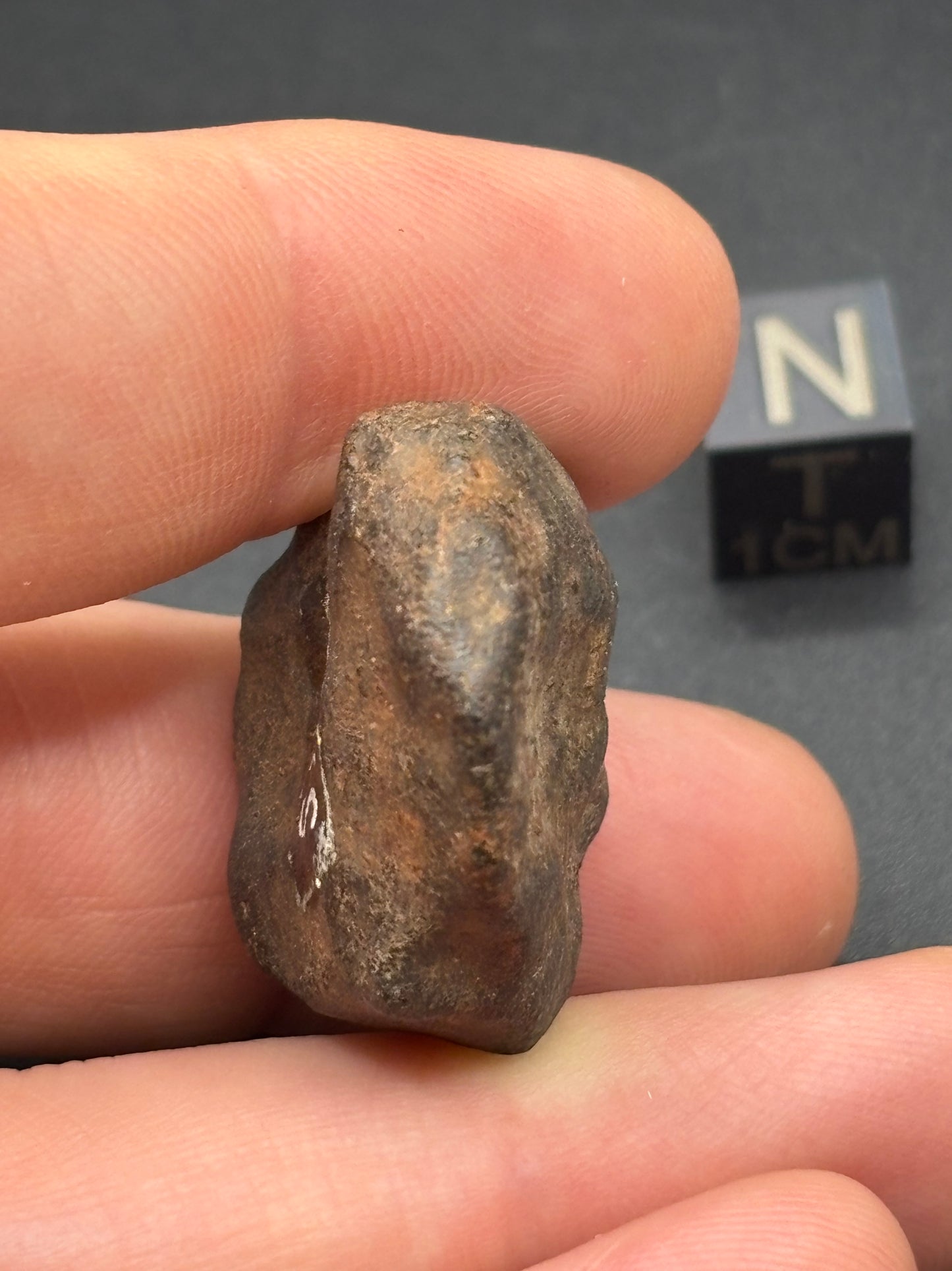 Tenham L6 Chondrite — Individual (18.16g)