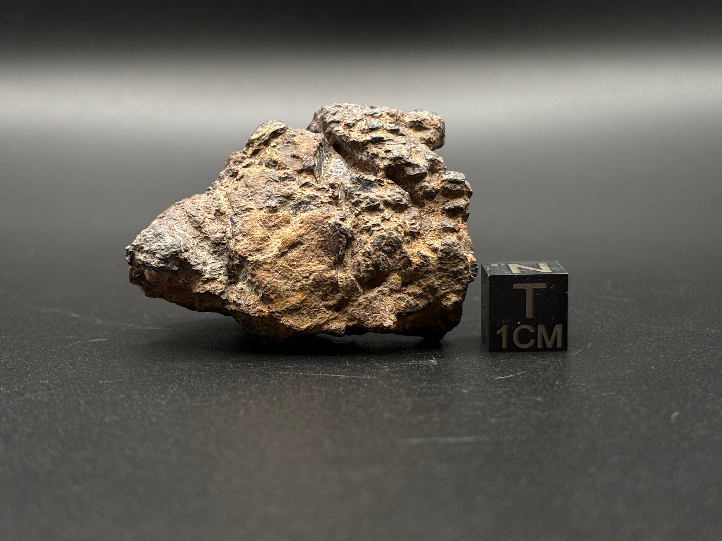 Wolf Creek Iron, IIIAB — Individual (58.3g)