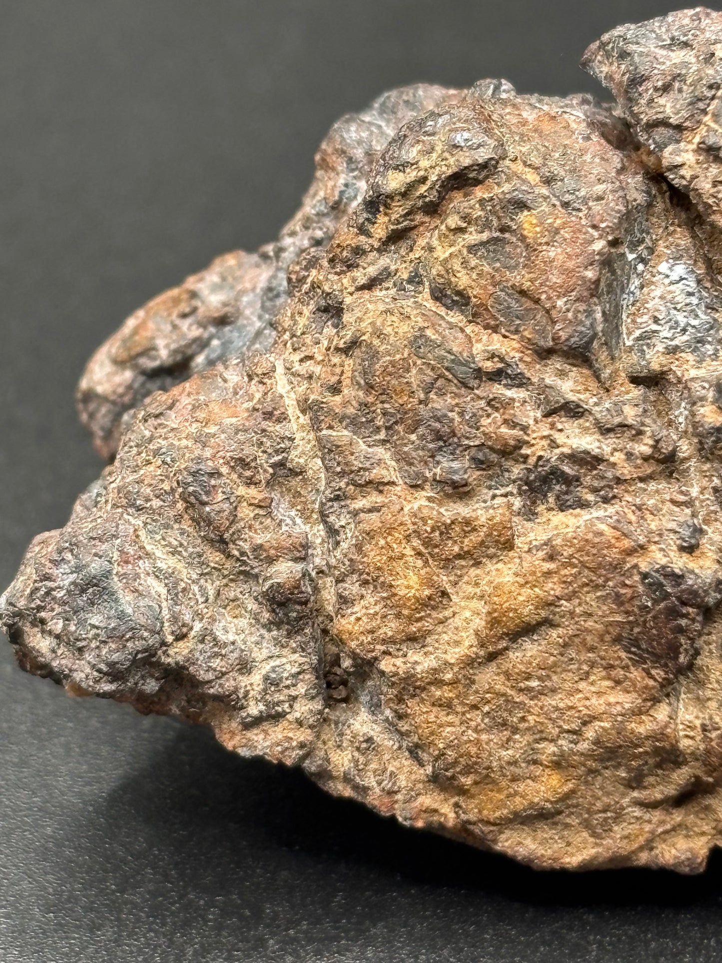 Wolf Creek Iron, IIIAB — Individual (58.3g)