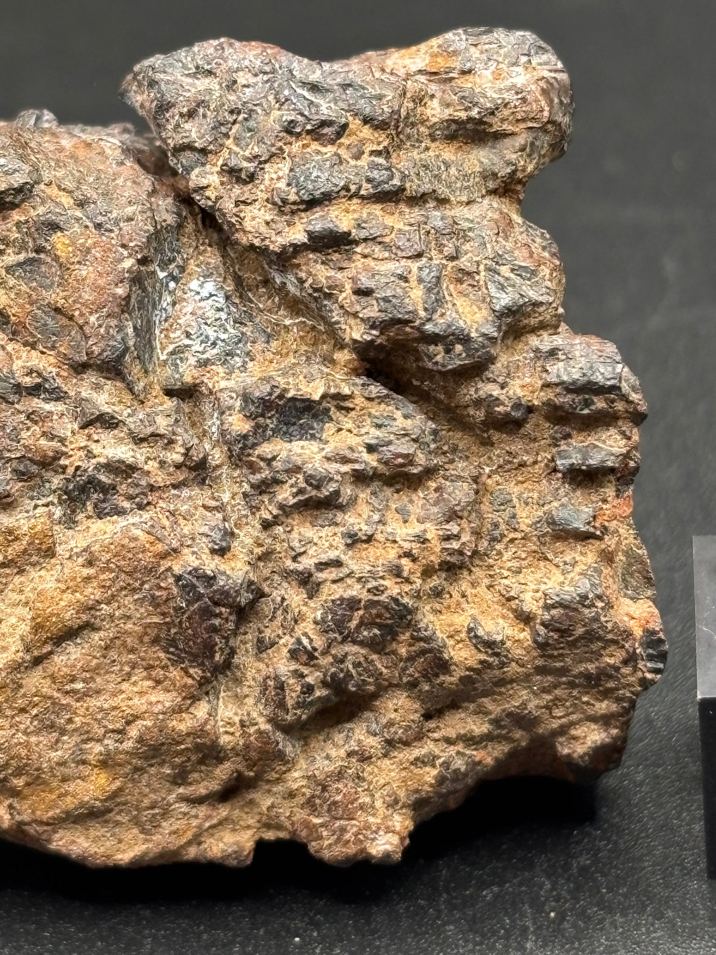 Wolf Creek Iron, IIIAB — Individual (58.3g)