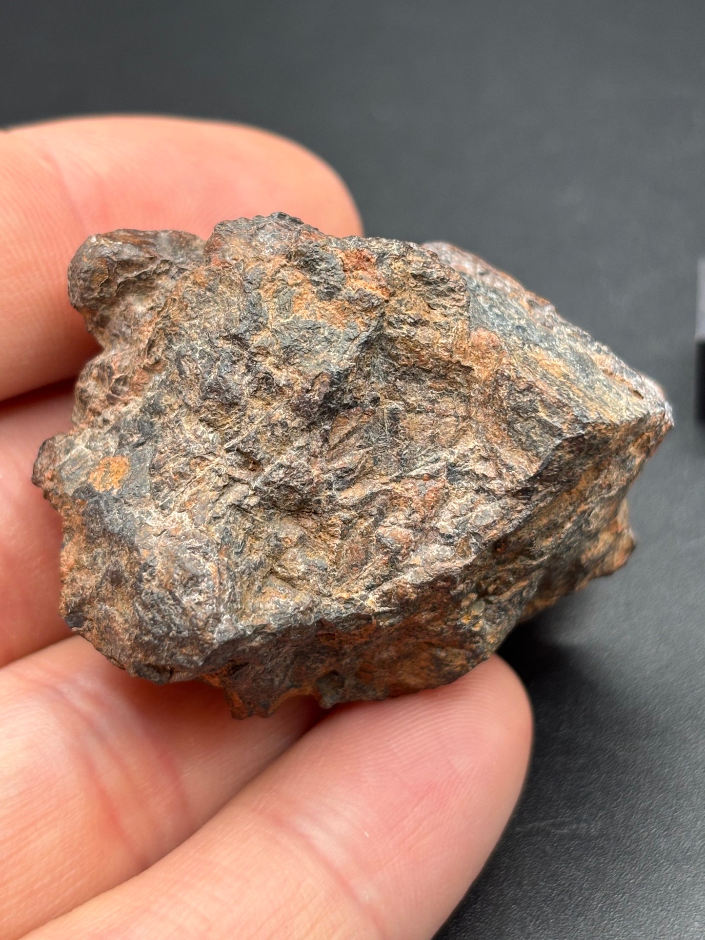 Wolf Creek Iron, IIIAB — Individual (58.3g)