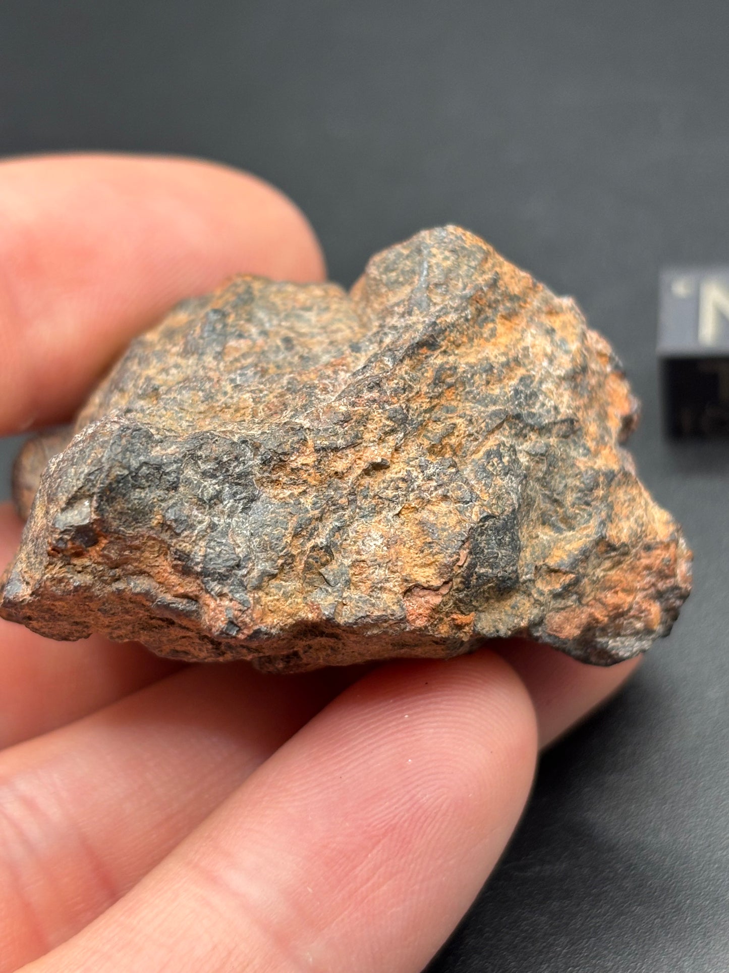 Wolf Creek Iron, IIIAB — Individual (58.3g)